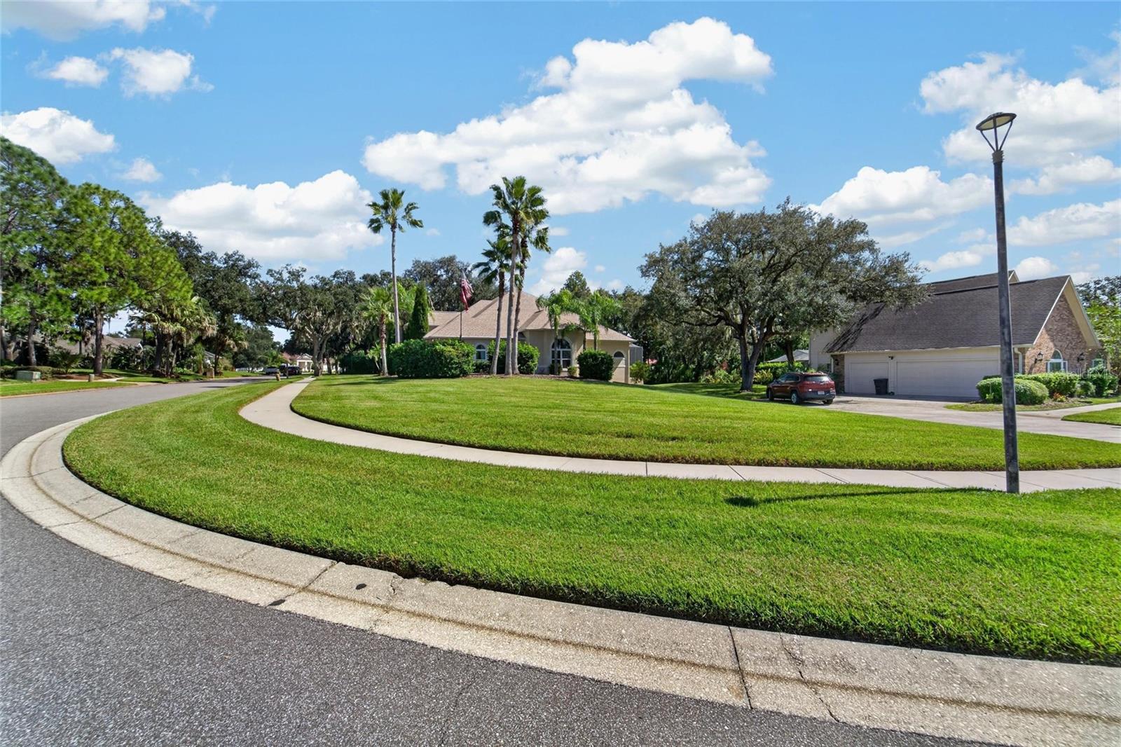 1009 EMERALD CREEK DRIVE, Valrico, FL 33596