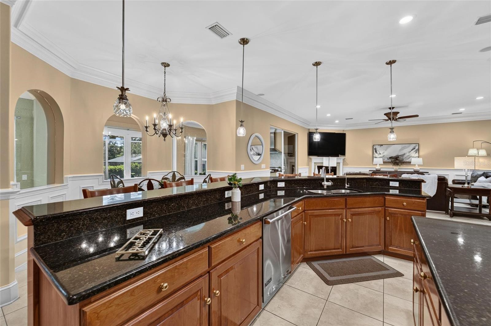 1009 EMERALD CREEK DRIVE, Valrico, FL 33596
