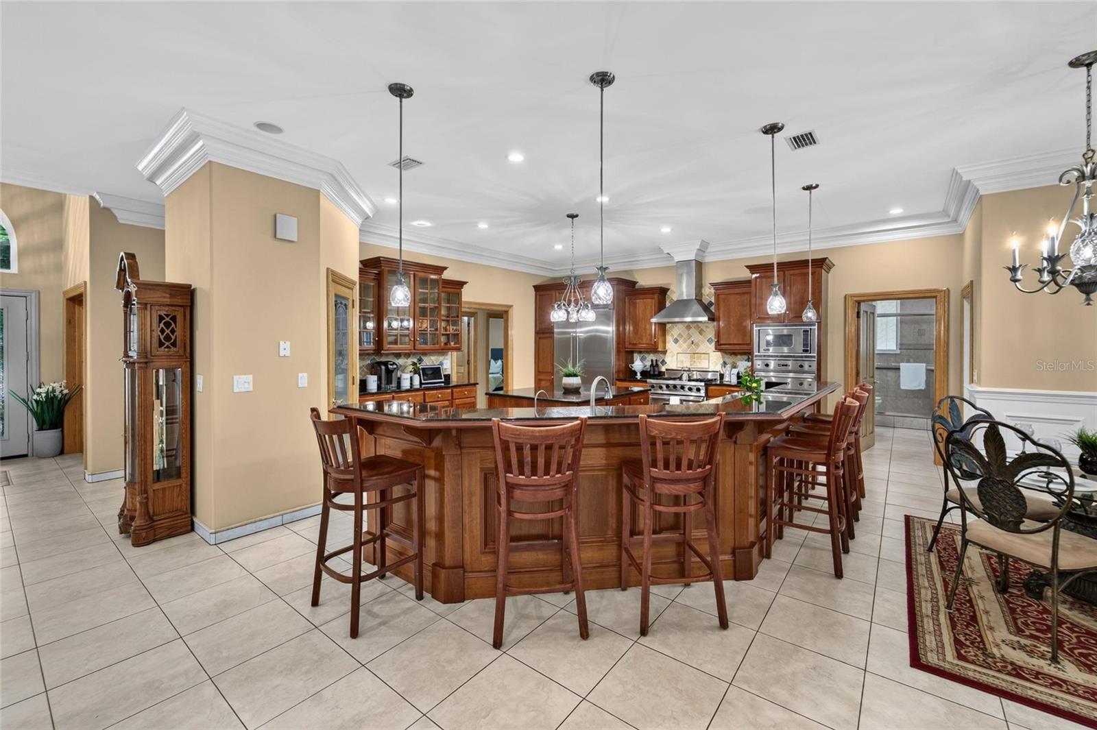 1009 EMERALD CREEK DRIVE, Valrico, FL 33596