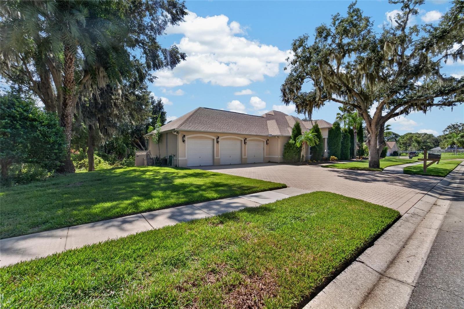 1009 EMERALD CREEK DRIVE, Valrico, FL 33596