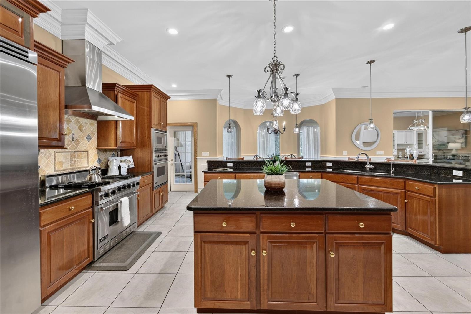 1009 EMERALD CREEK DRIVE, Valrico, FL 33596