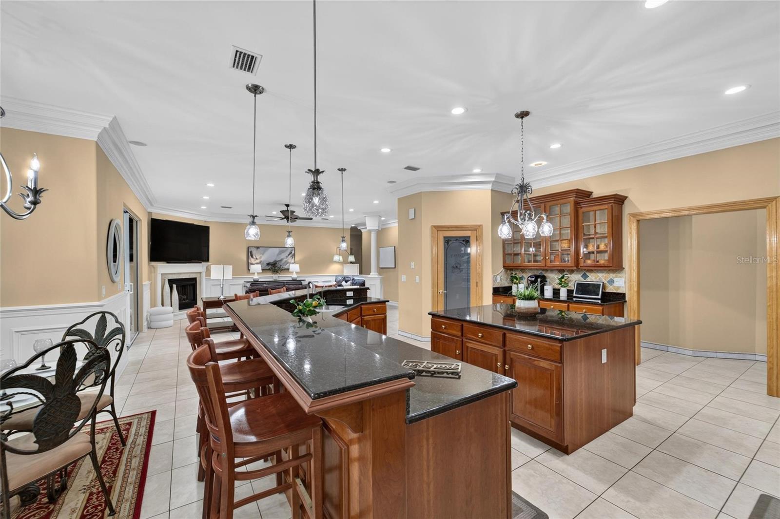 1009 EMERALD CREEK DRIVE, Valrico, FL 33596
