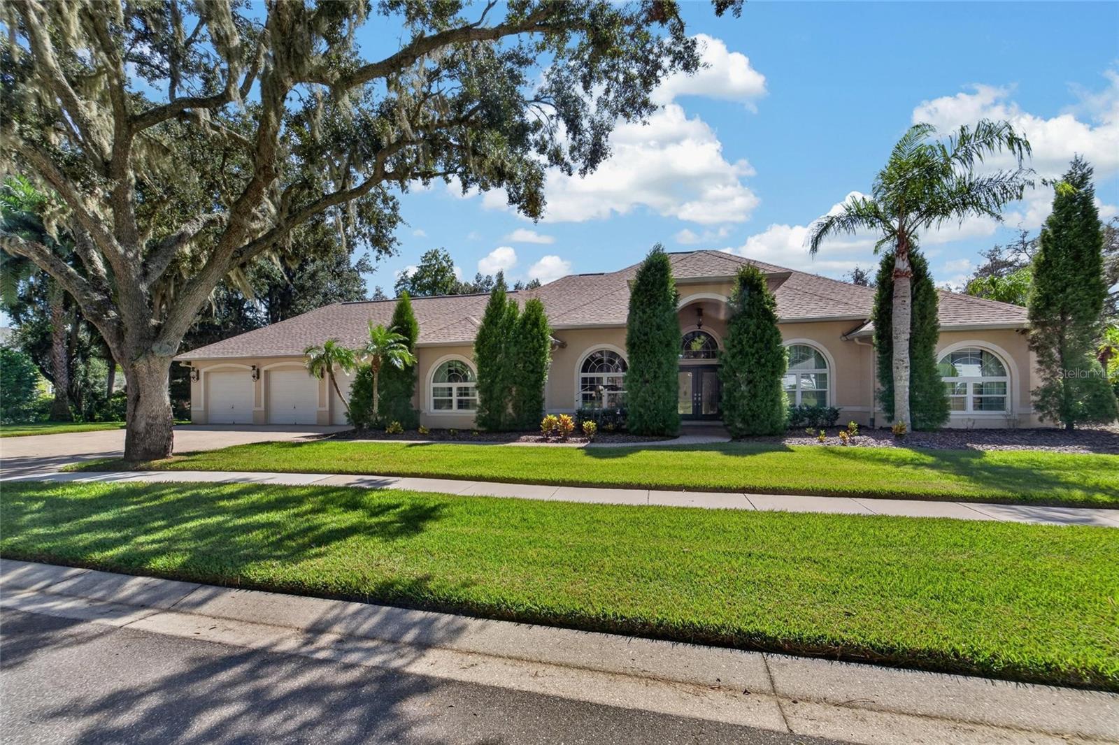 1009 EMERALD CREEK DRIVE, Valrico, FL 33596