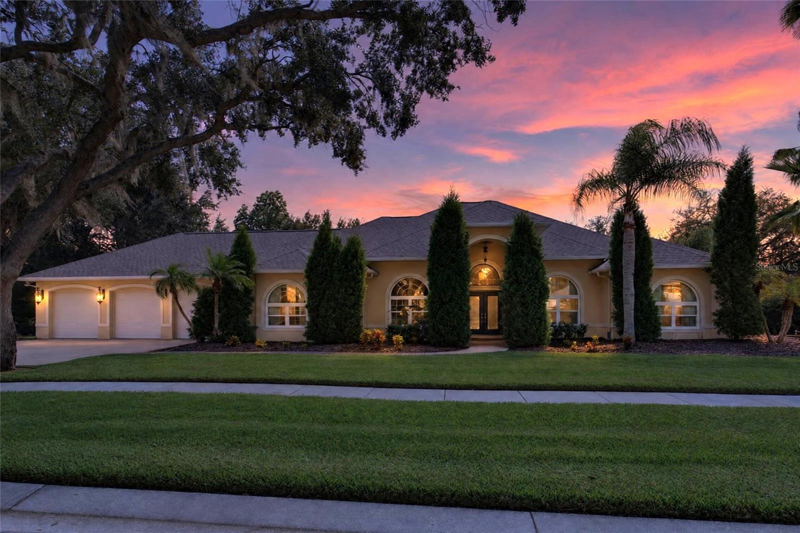 1009 EMERALD CREEK DRIVE, Valrico, FL 33596