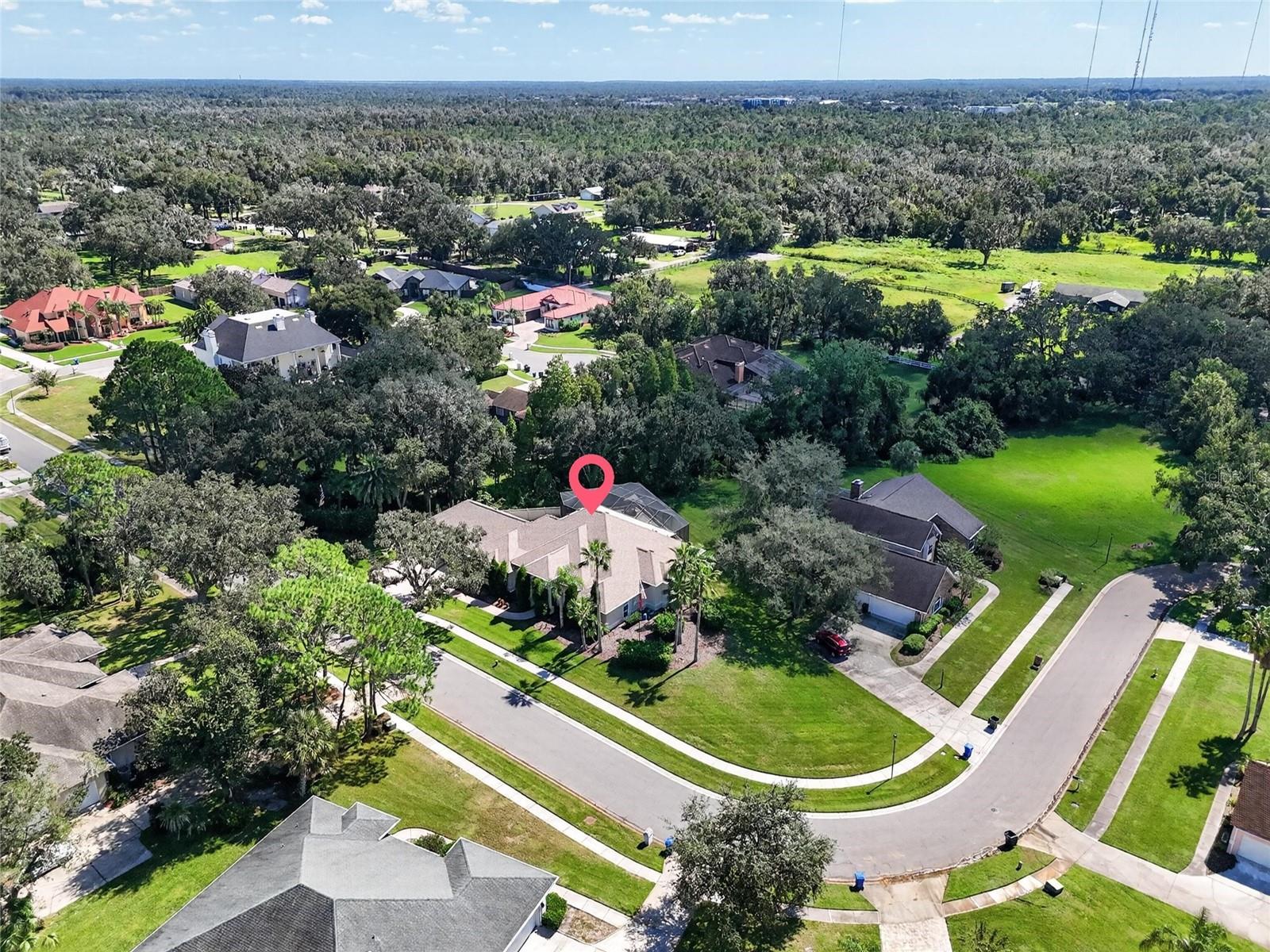 1009 EMERALD CREEK DRIVE, Valrico, FL 33596