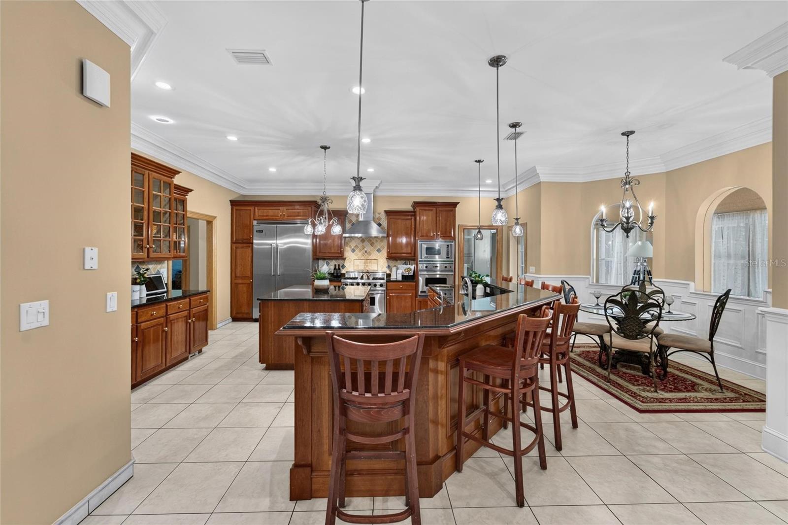 1009 EMERALD CREEK DRIVE, Valrico, FL 33596