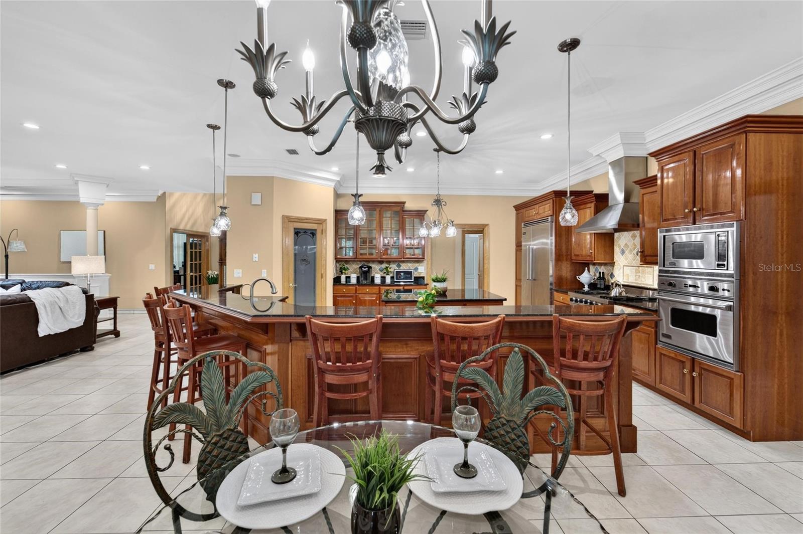 1009 EMERALD CREEK DRIVE, Valrico, FL 33596