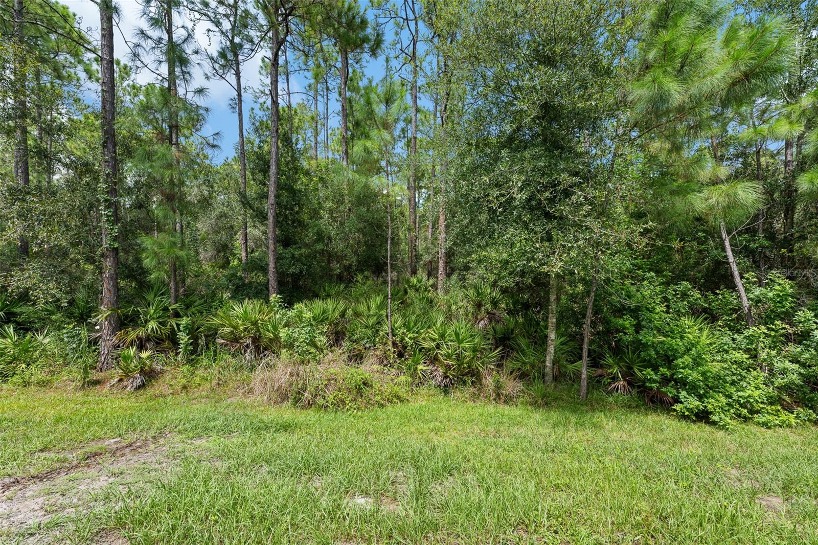 Conservation Homesite