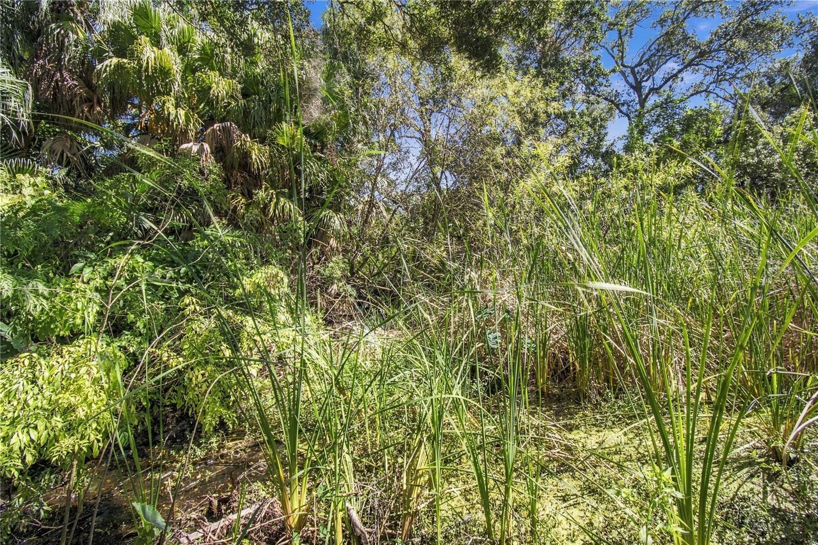 12805 98TH STREET, Largo, FL 33773