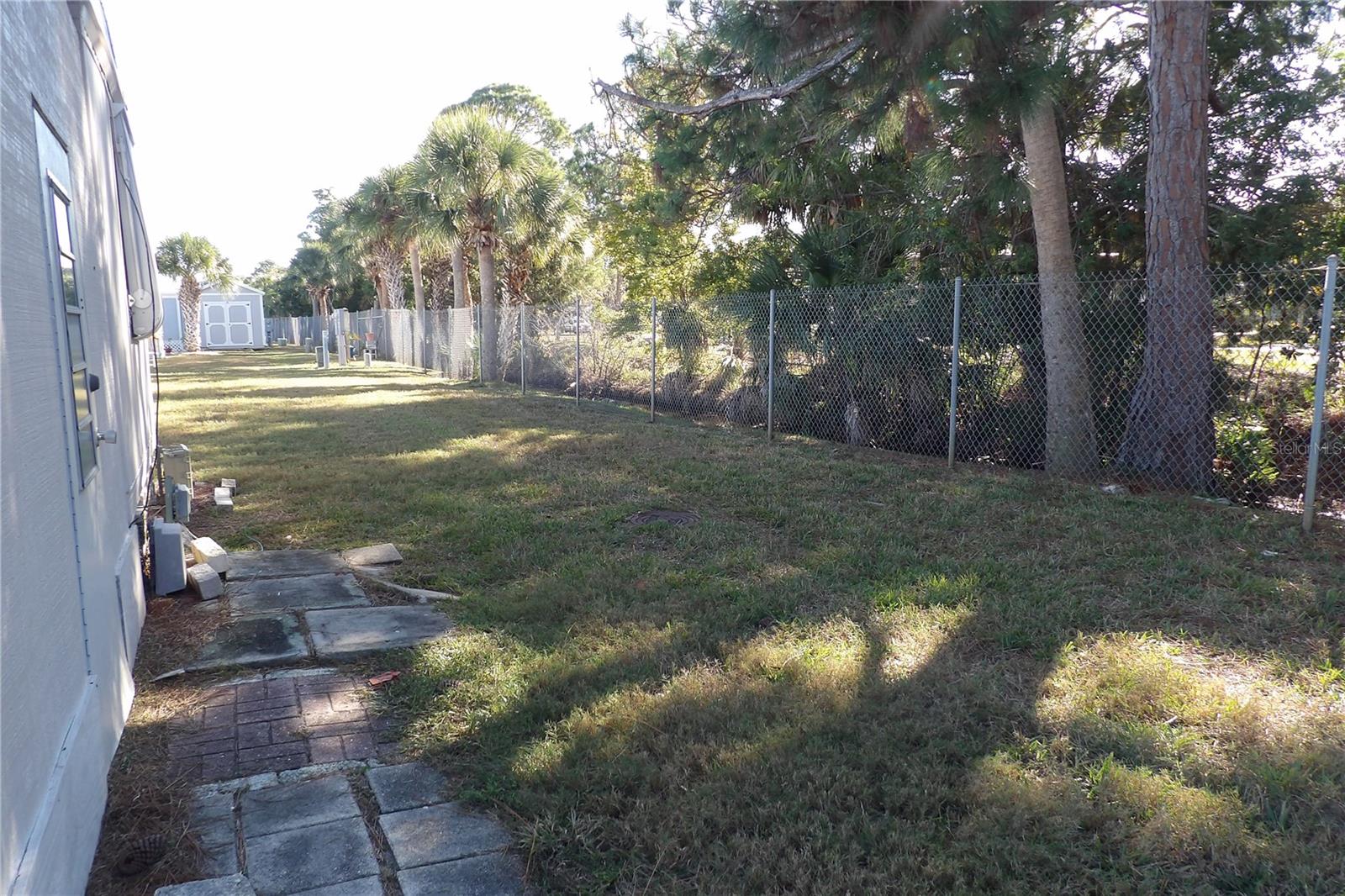 Back yard
