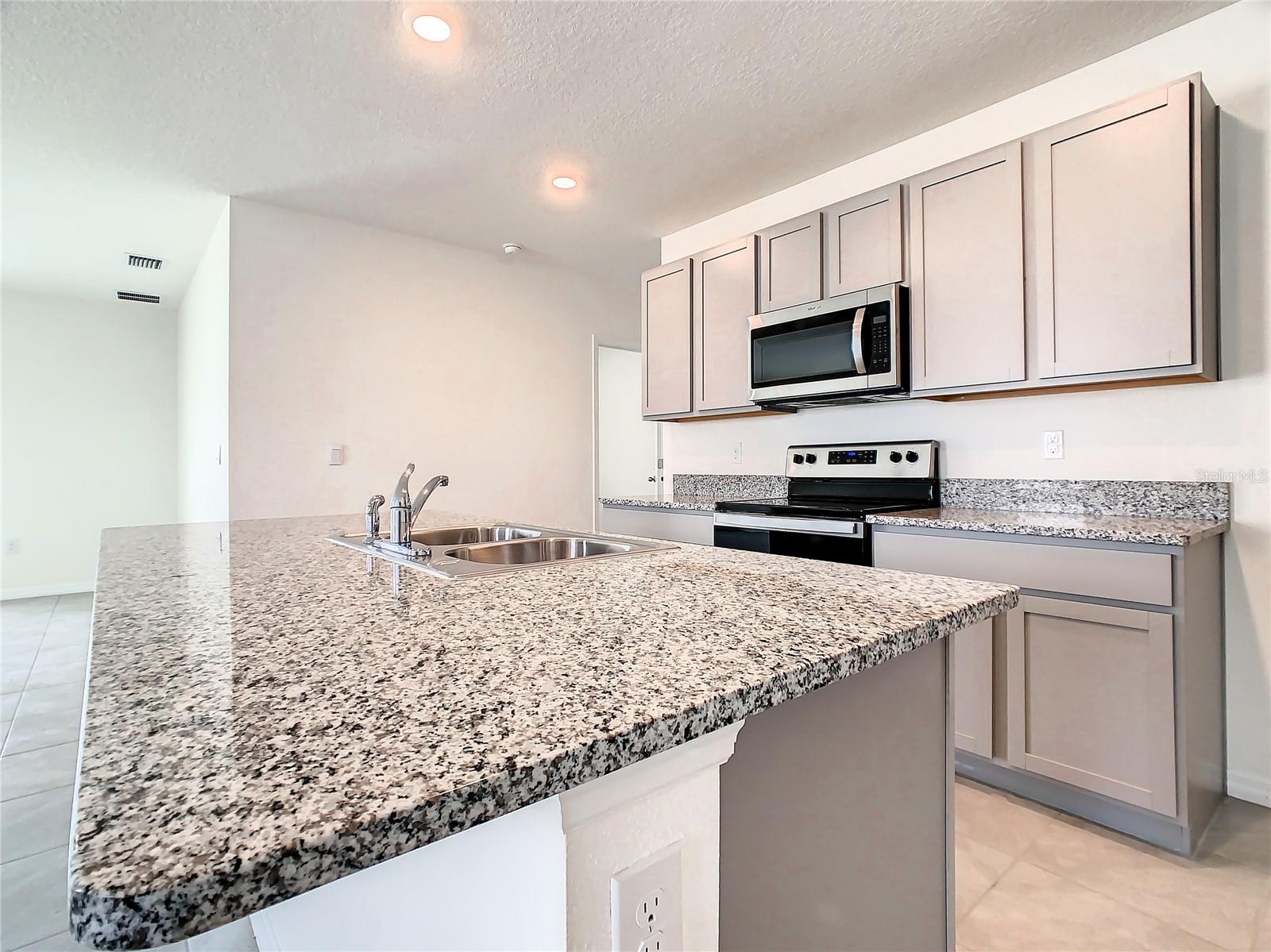 16506 MOSAIC OAR DRIVE, Wimauma, FL 33598