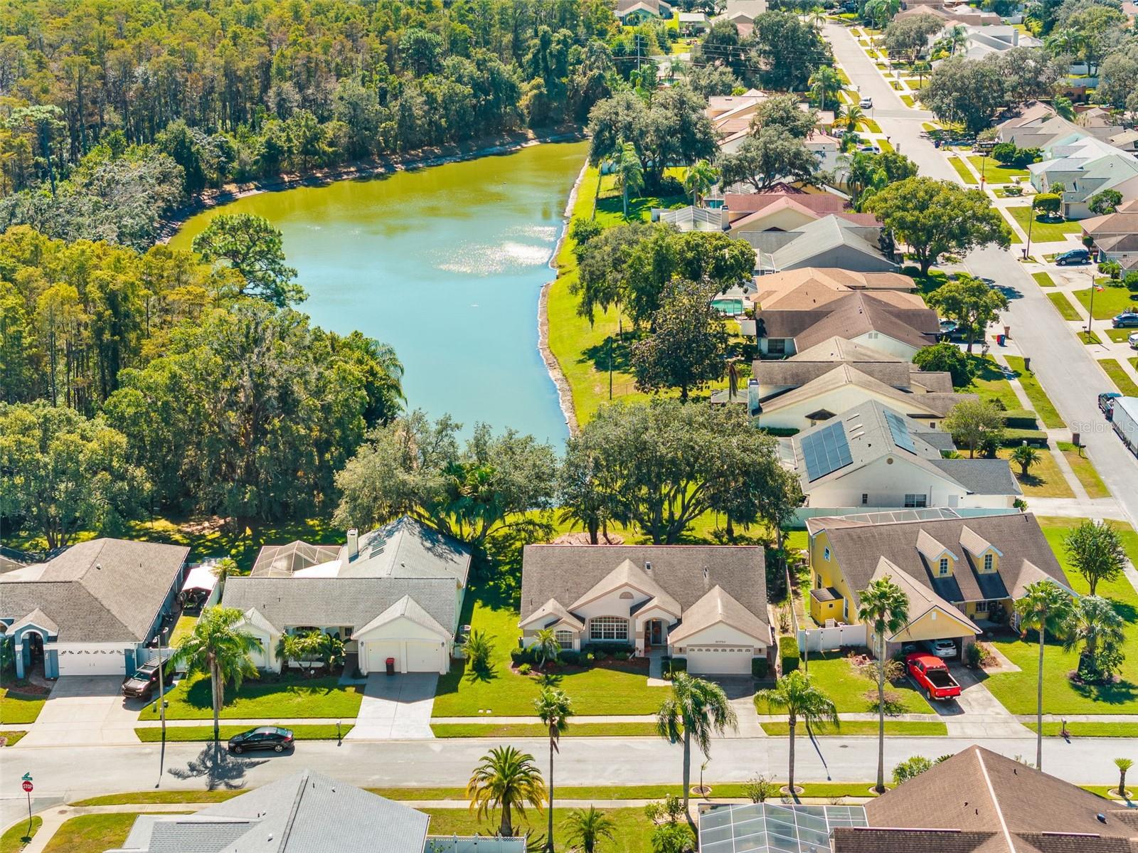 10030 BEEFMASTER COURT, New Port Richey, FL 34655
