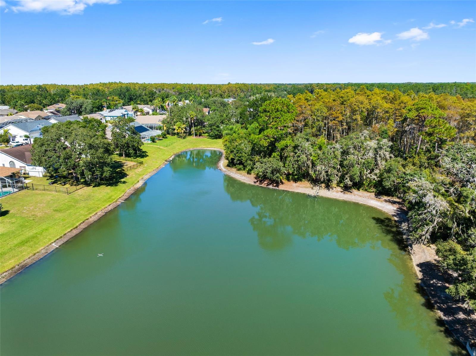 10030 BEEFMASTER COURT, New Port Richey, FL 34655