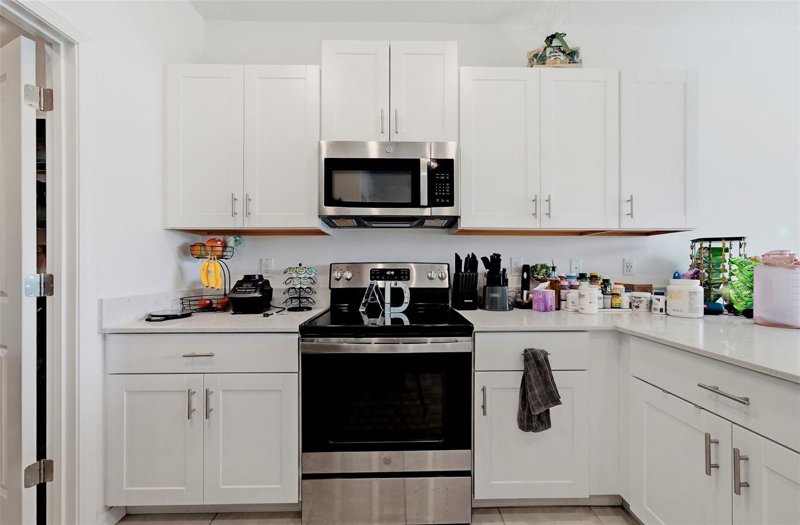 10336 LAVENDER ASTER TRAIL, San Antonio, FL 33576