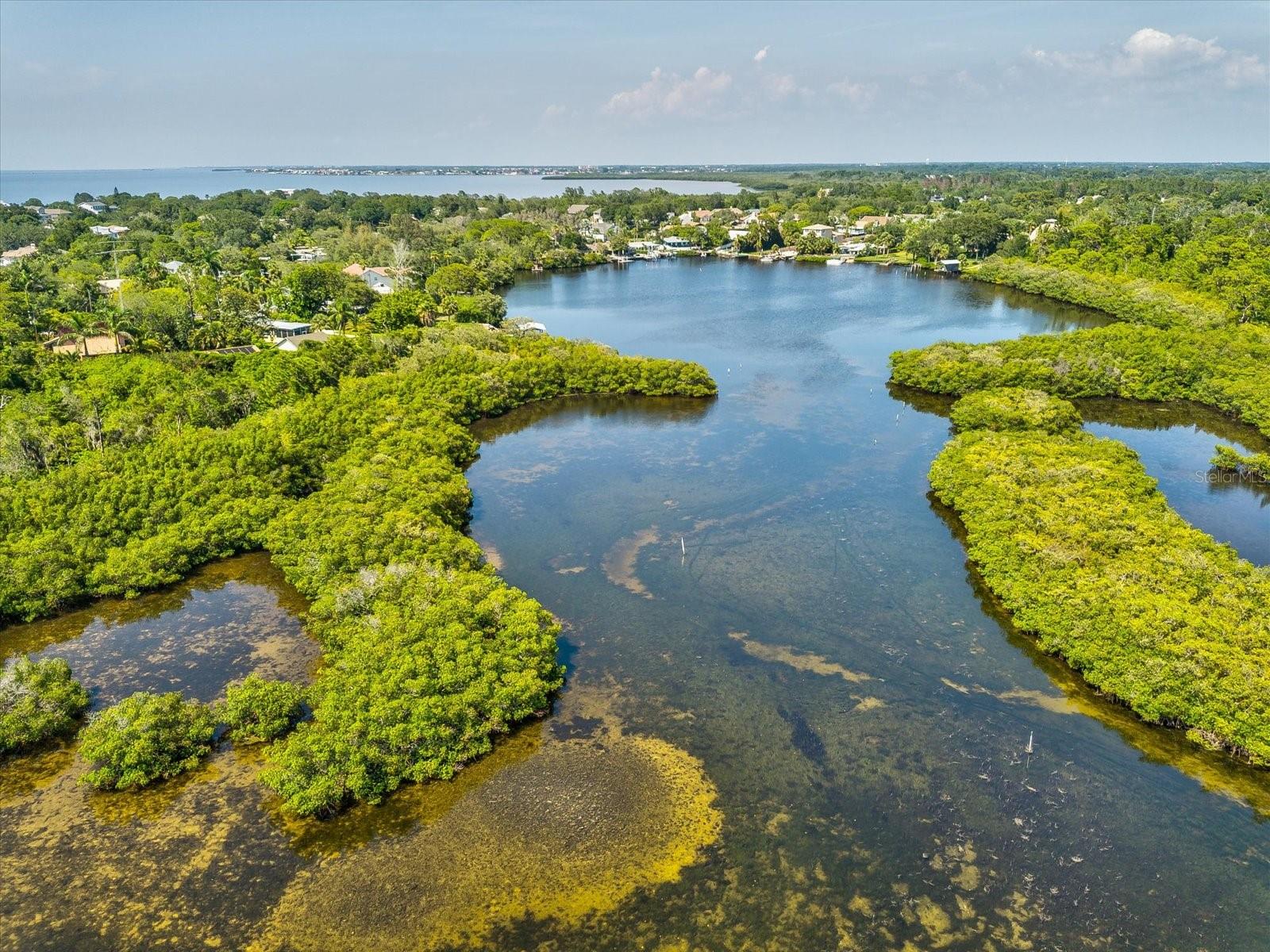 2835 PUMA DRIVE, Holiday, FL 34690