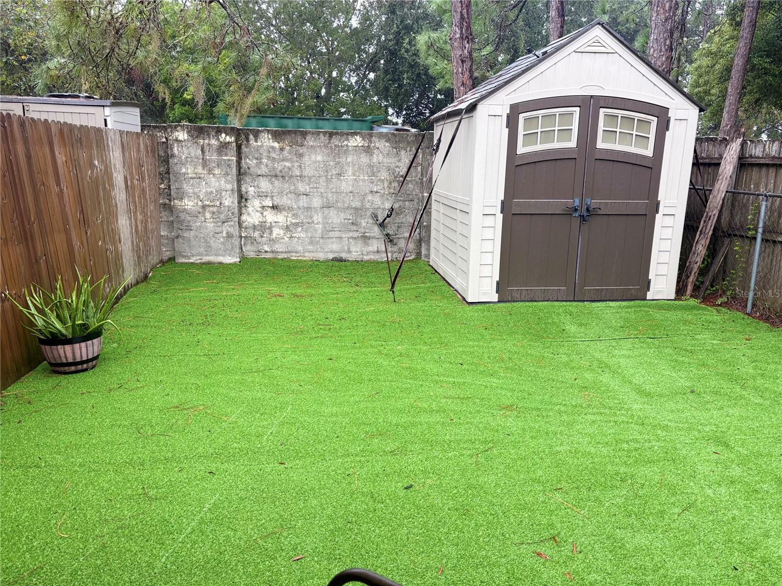 Backyard