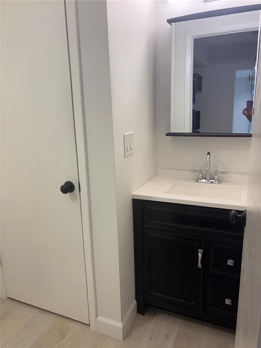 Guest bathroom