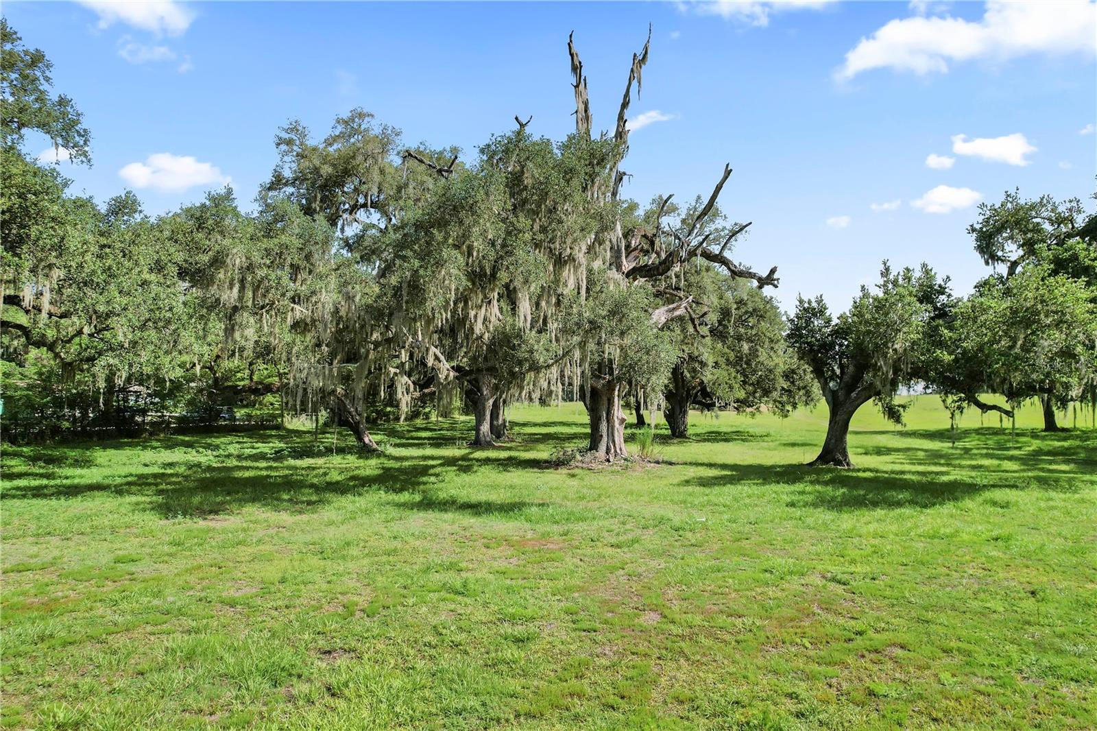 37952 CRYSTAL WAY, Dade City, FL 33523