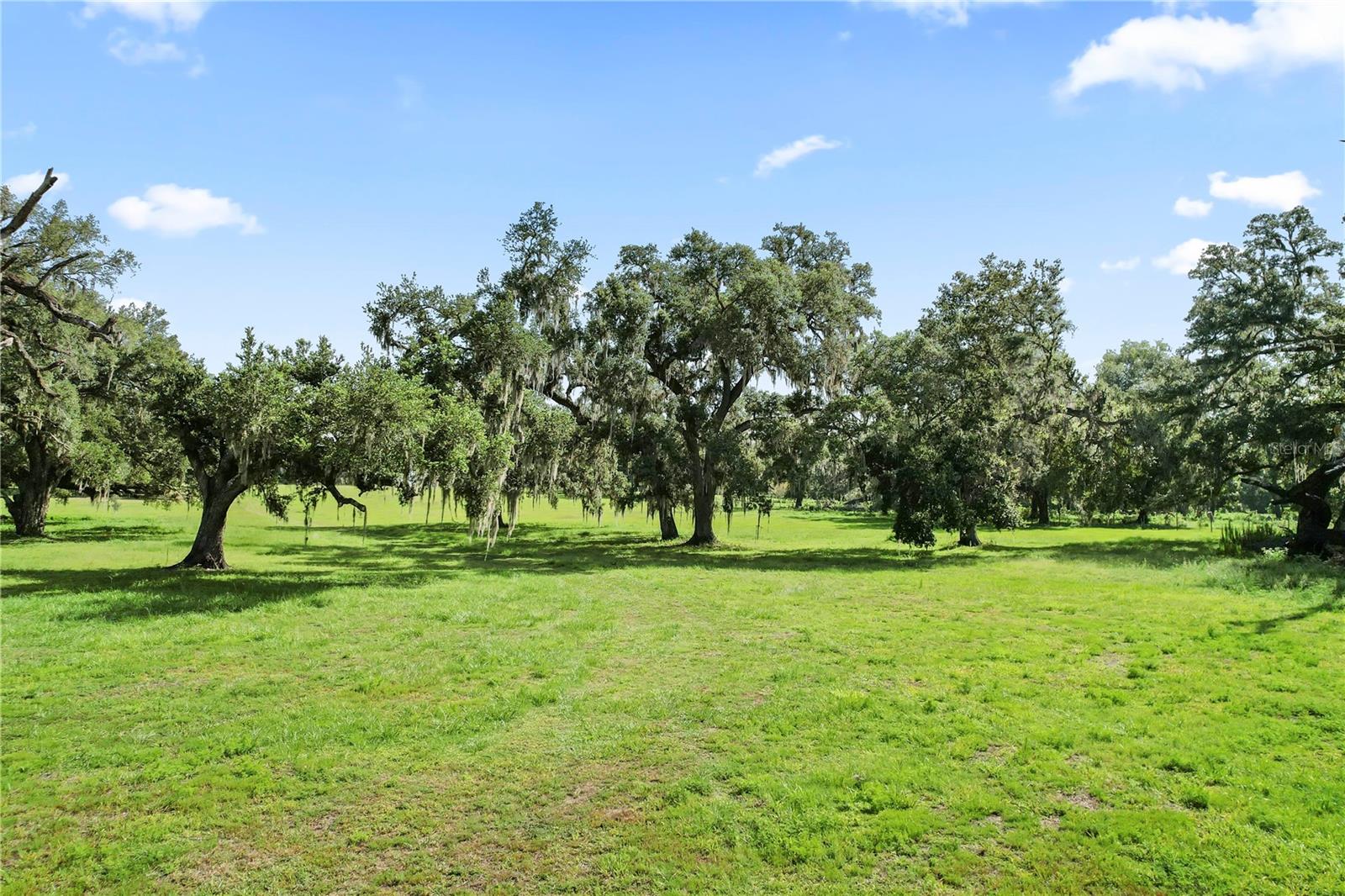 37952 CRYSTAL WAY, Dade City, FL 33523