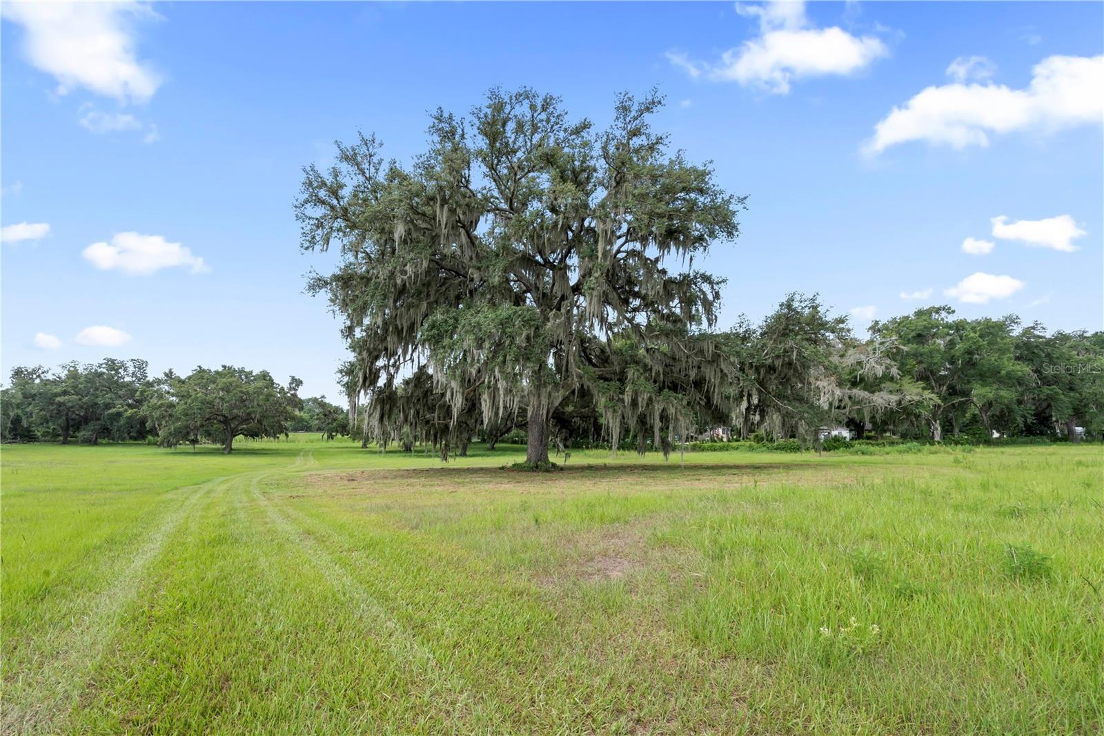 37952 CRYSTAL WAY, Dade City, FL 33523