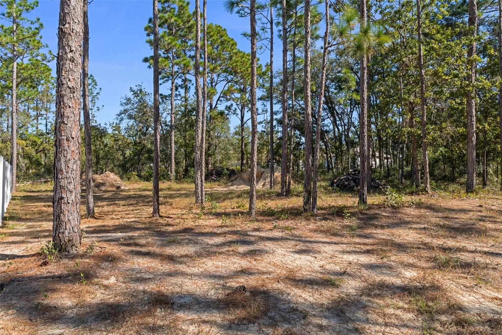 16204 MALDEN ROAD, Weeki Wachee, FL 34614