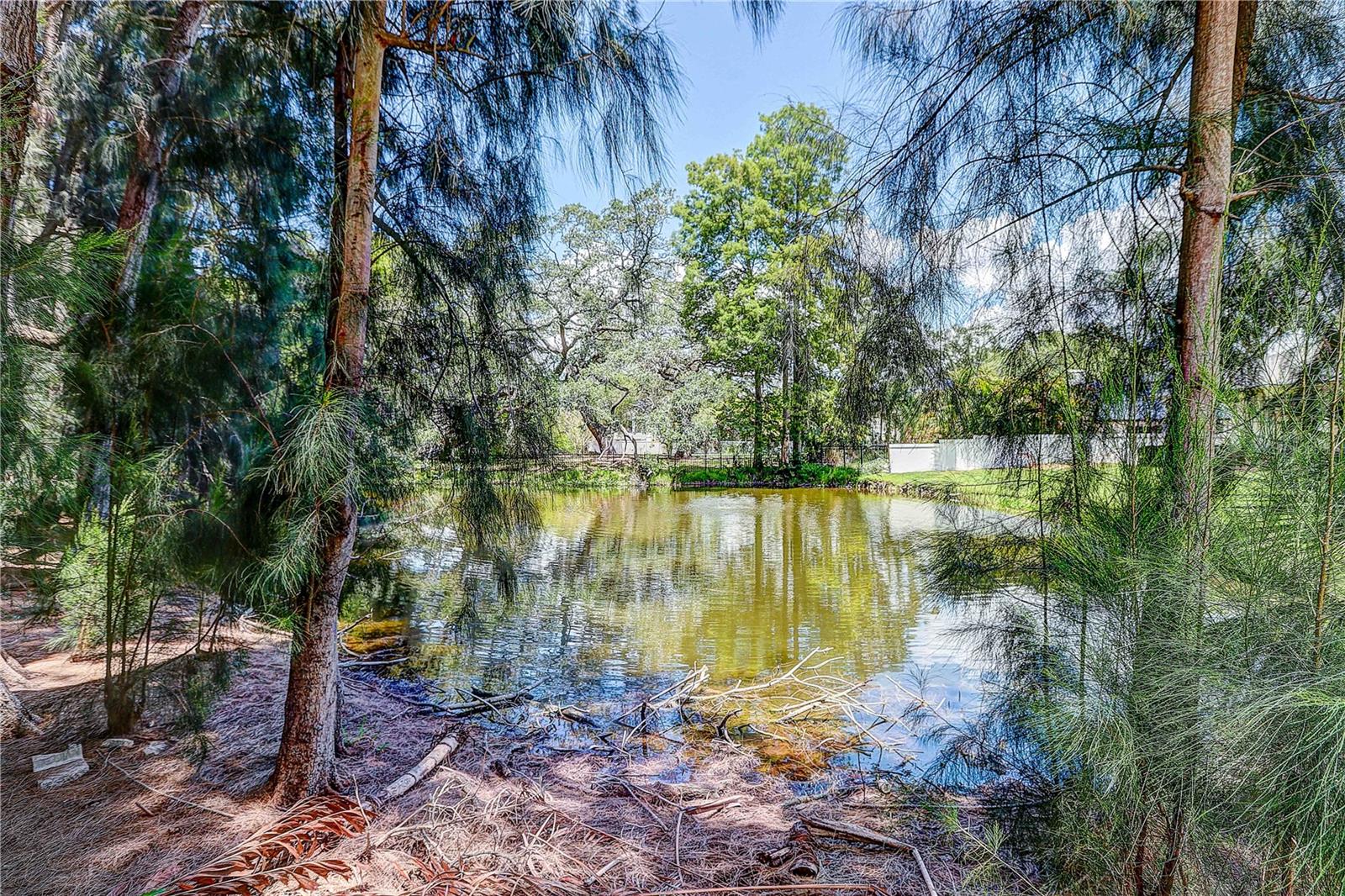 4621 W SAN JOSE STREET, Tampa, FL 33629