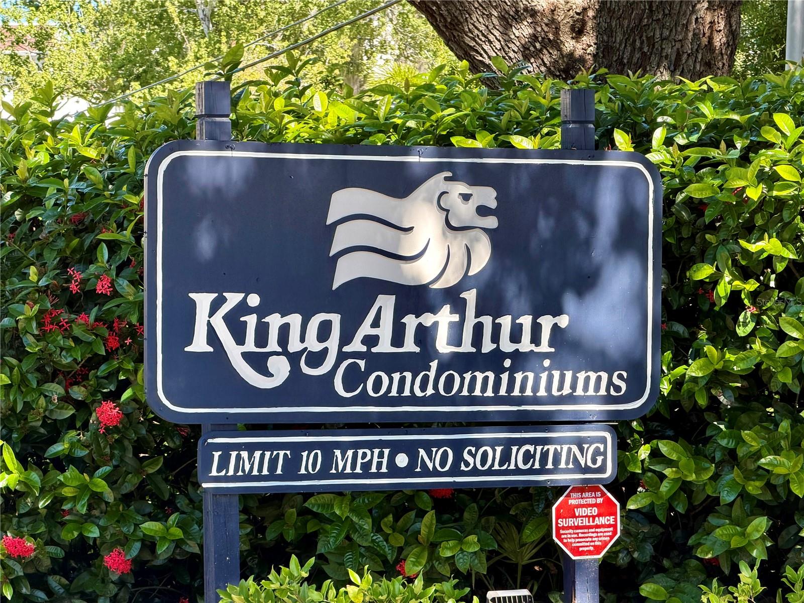 1127 KING ARTHUR COURT, #309, Dunedin, FL 34698