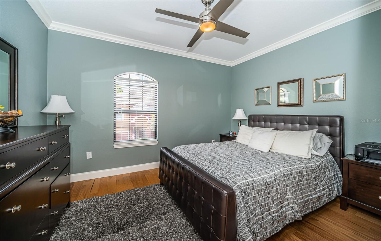 2138 CHIANTI PLACE, #142, Palm Harbor, FL 34683