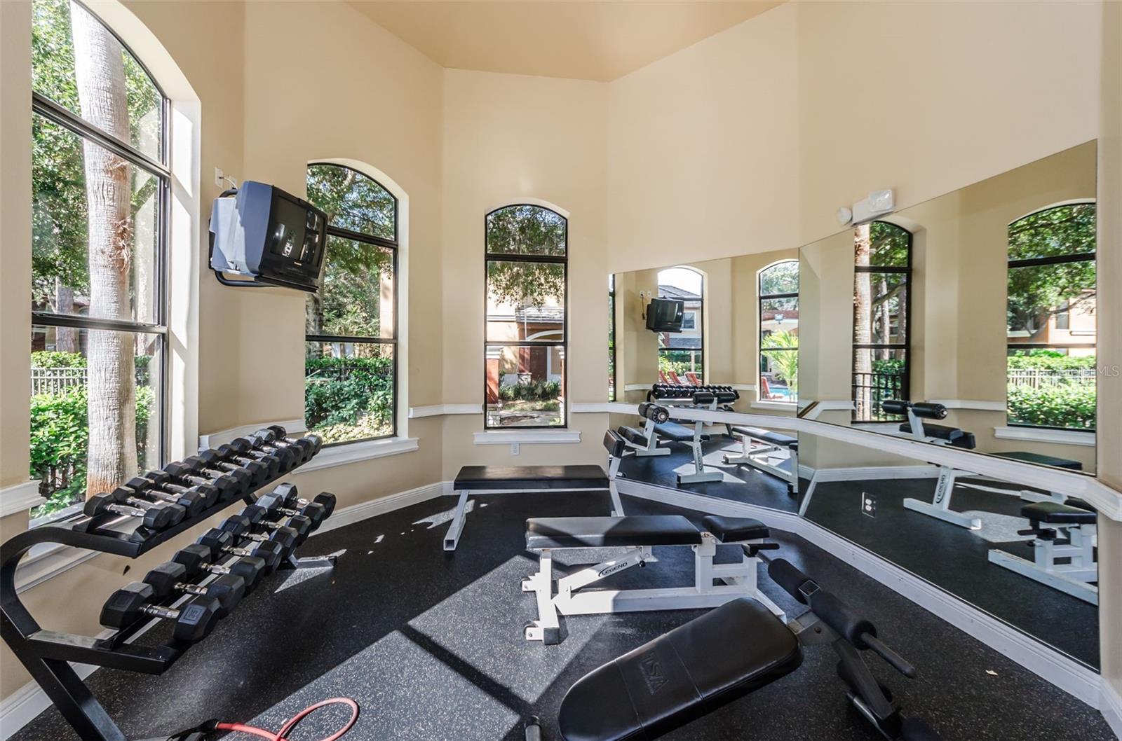 2138 CHIANTI PLACE, #142, Palm Harbor, FL 34683
