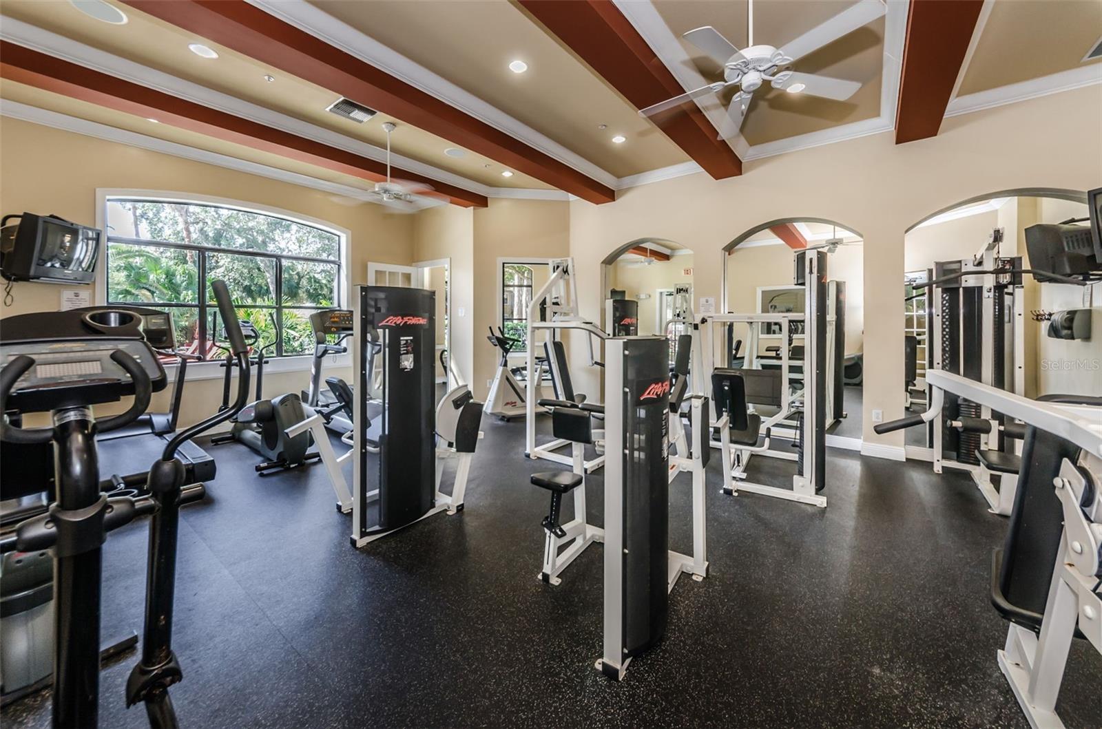 2138 CHIANTI PLACE, #142, Palm Harbor, FL 34683