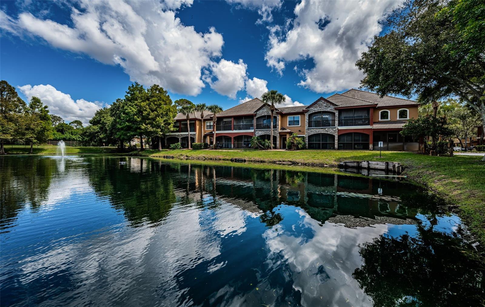 2138 CHIANTI PLACE, #142, Palm Harbor, FL 34683