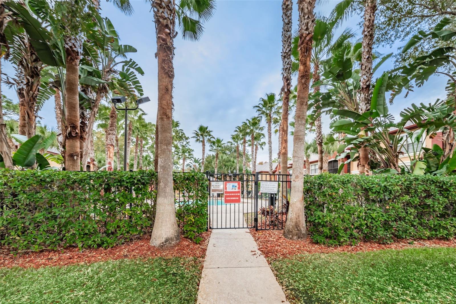 2138 CHIANTI PLACE, #142, Palm Harbor, FL 34683