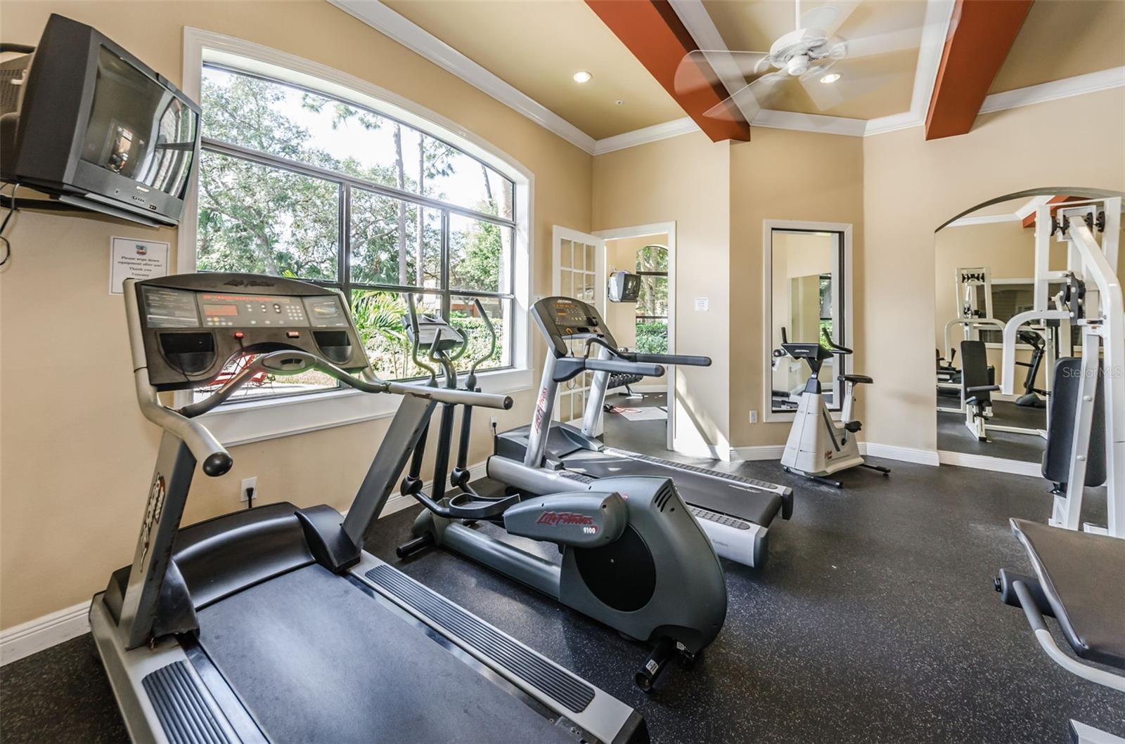 2138 CHIANTI PLACE, #142, Palm Harbor, FL 34683