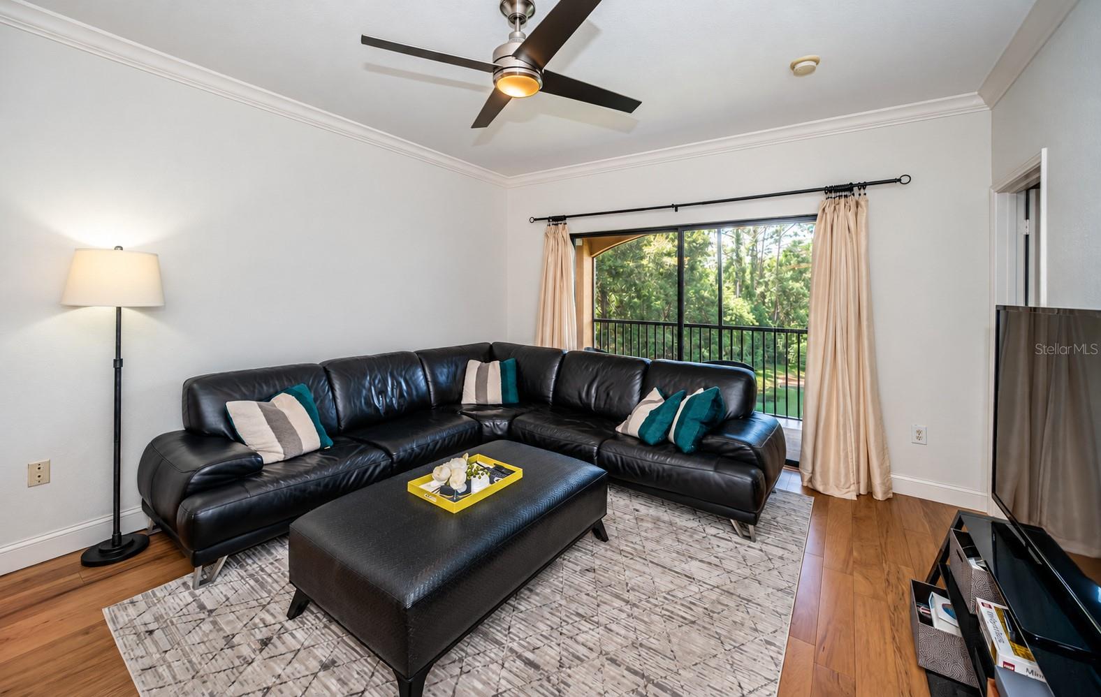 2138 CHIANTI PLACE, #142, Palm Harbor, FL 34683