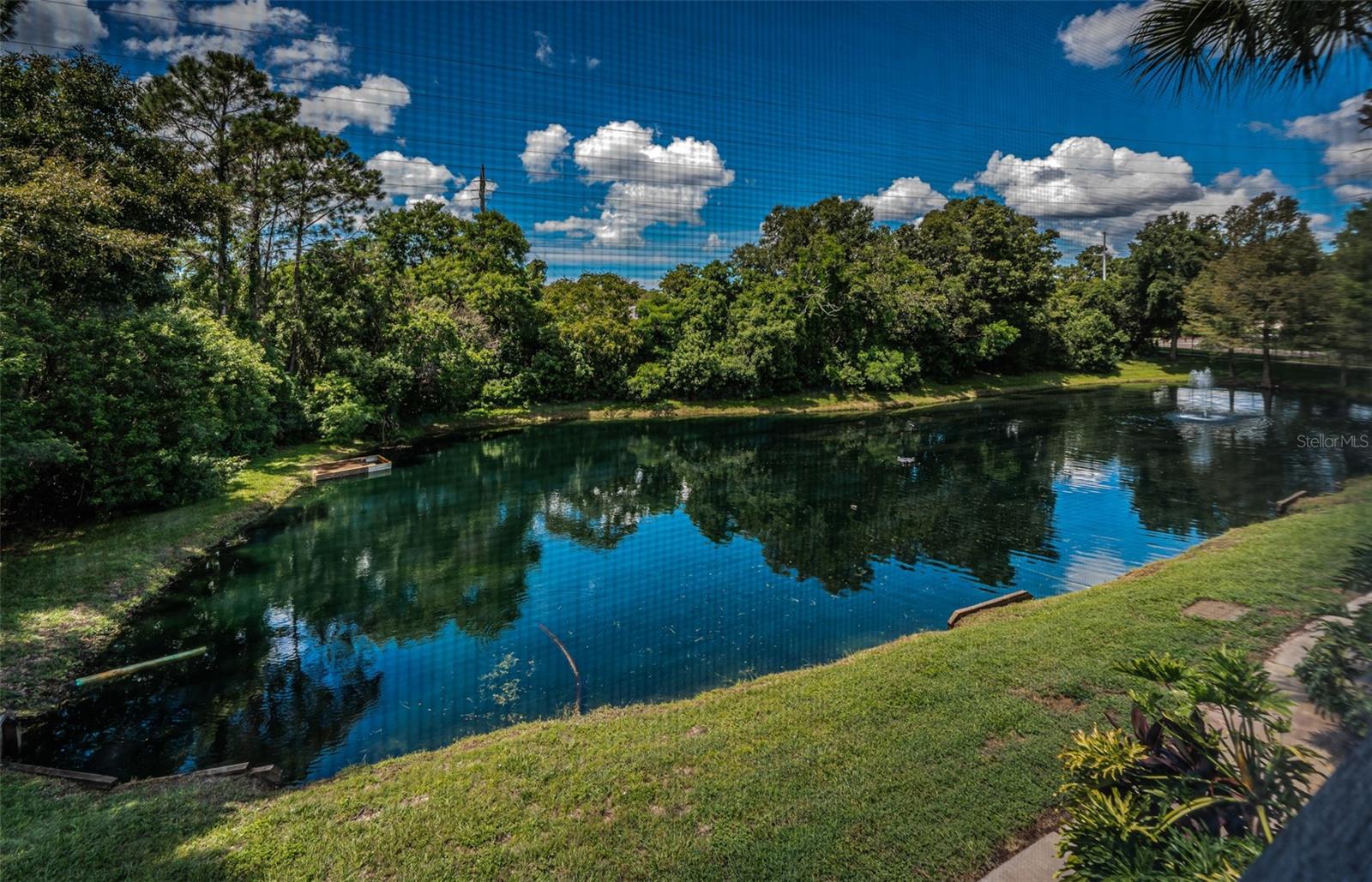 2138 CHIANTI PLACE, #142, Palm Harbor, FL 34683