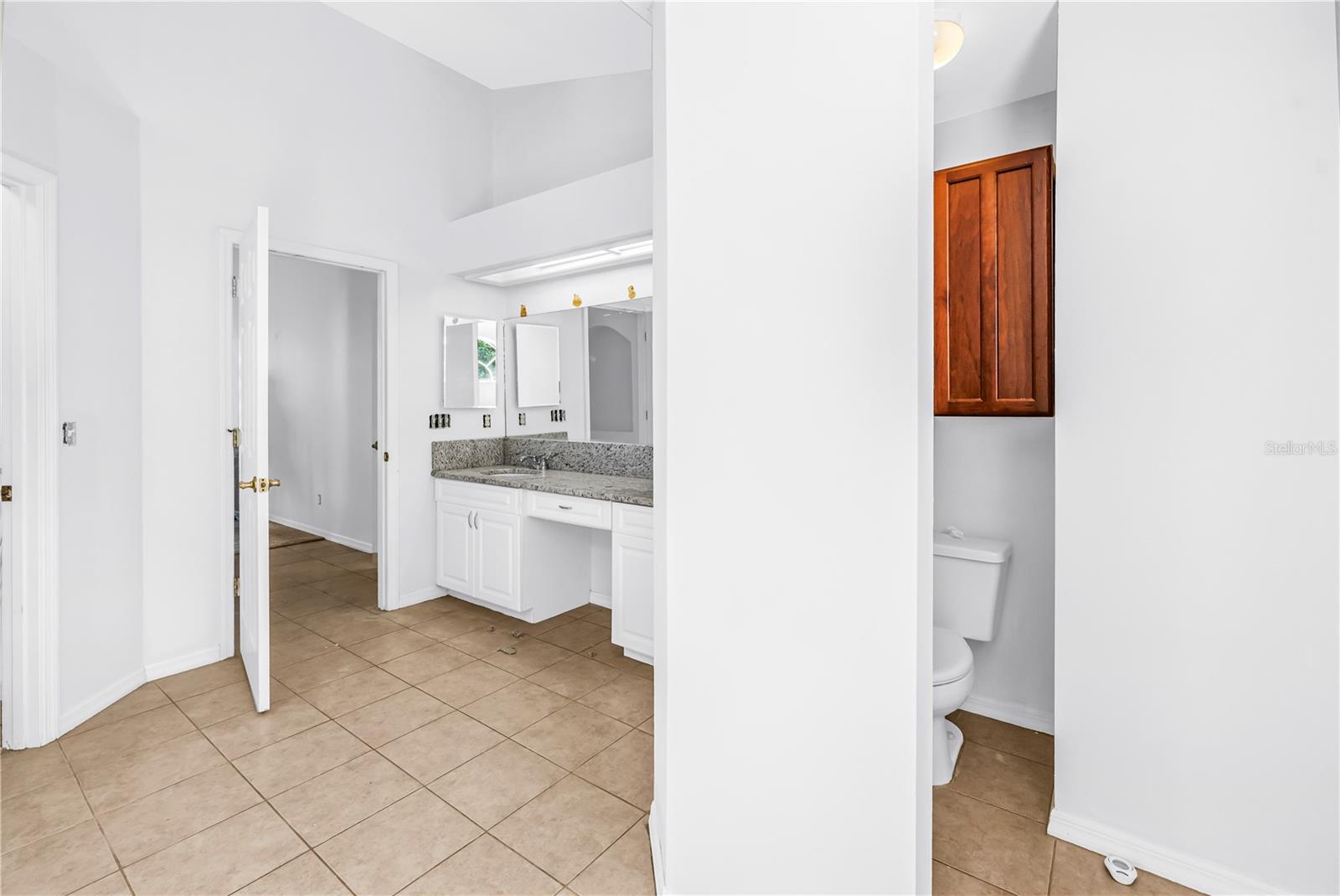 18520 SUNWARD LAKE PLACE, Lutz, FL 33549