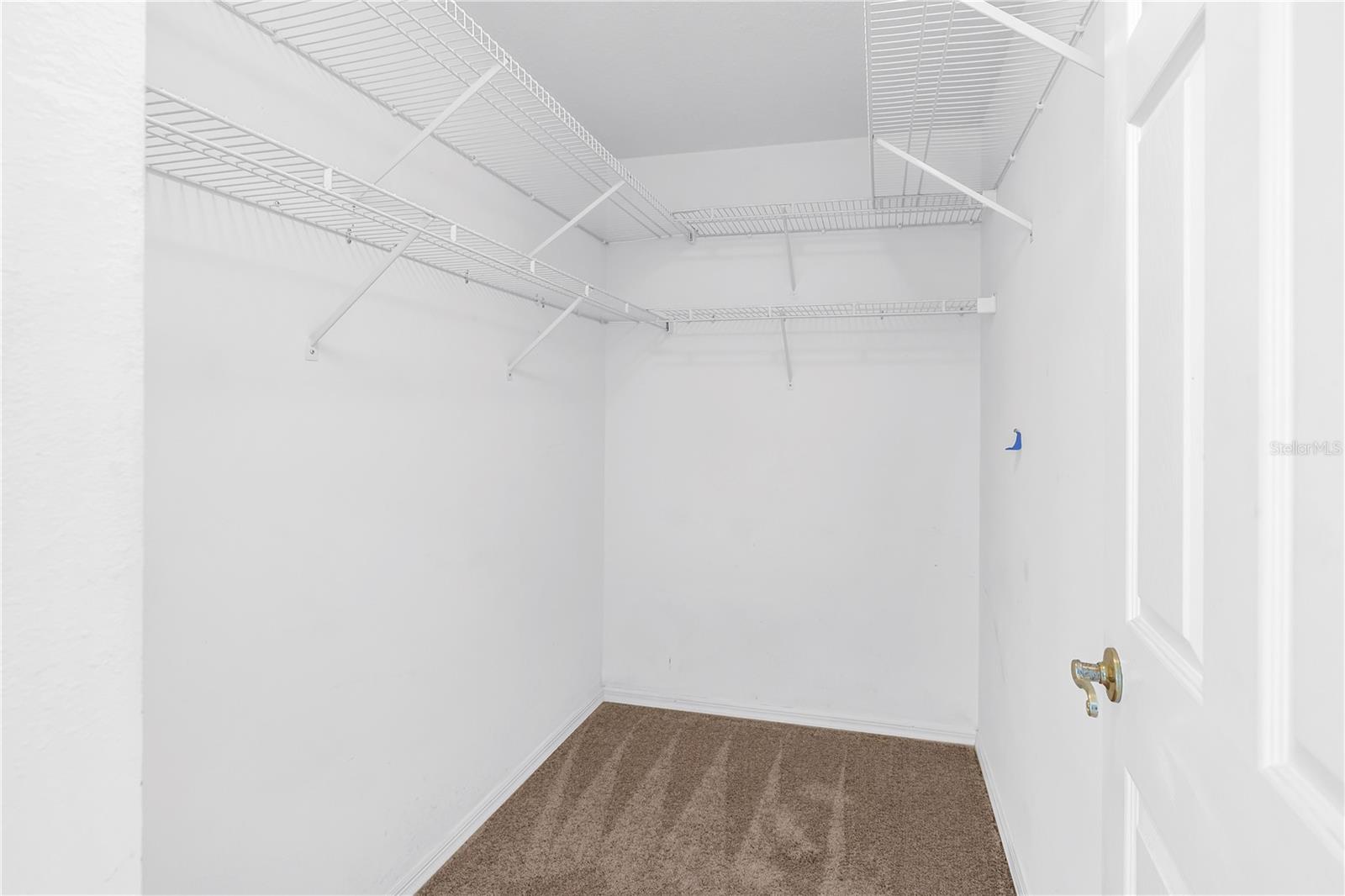 18520 SUNWARD LAKE PLACE, Lutz, FL 33549