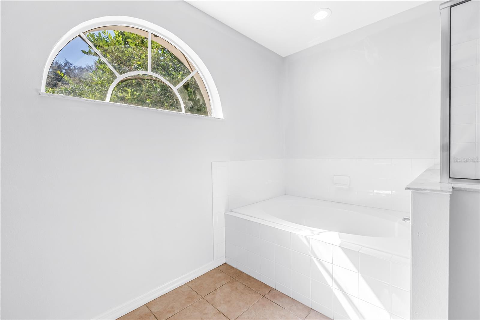 18520 SUNWARD LAKE PLACE, Lutz, FL 33549