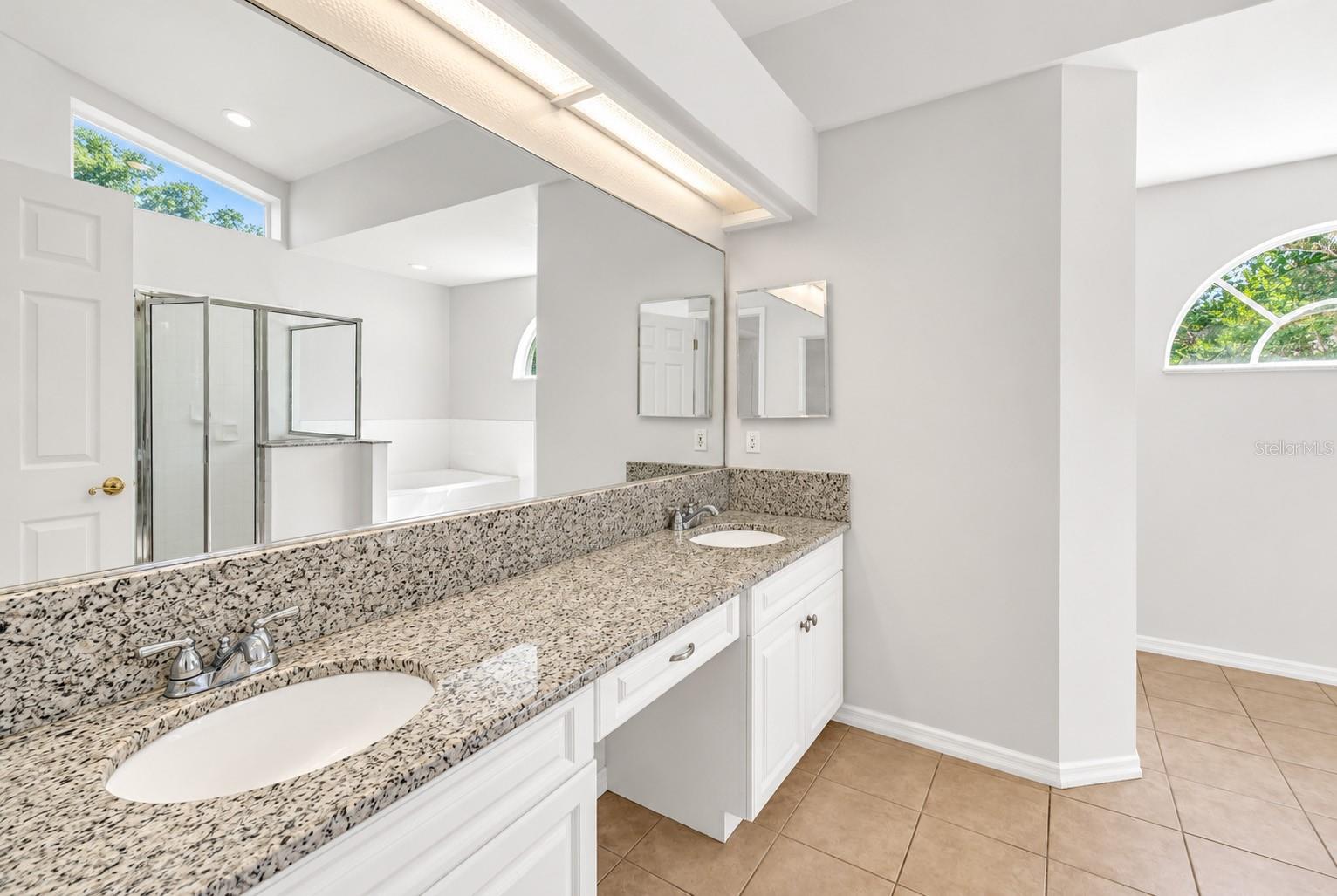 18520 SUNWARD LAKE PLACE, Lutz, FL 33549
