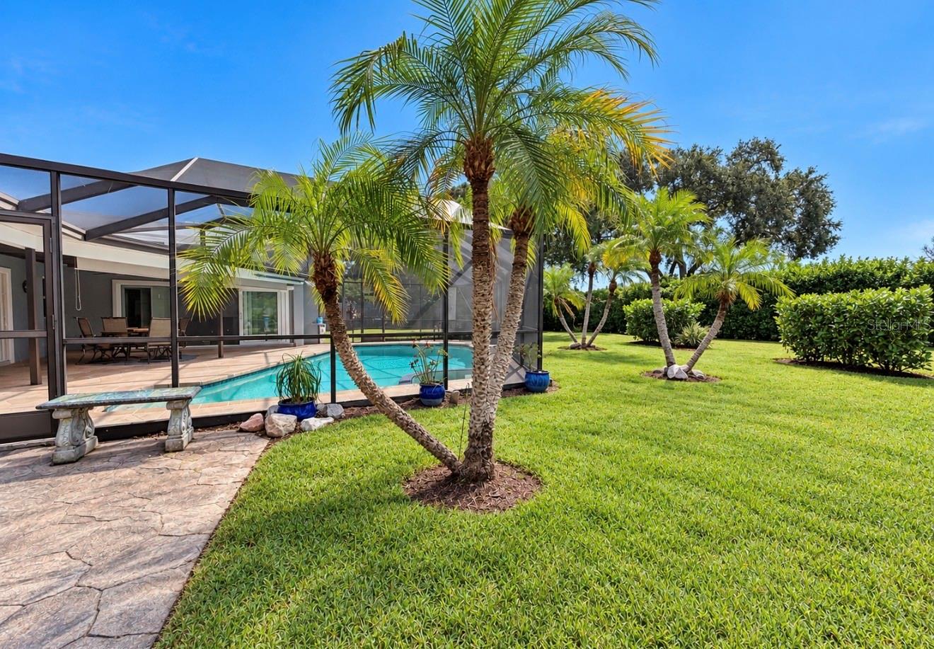 part of backyard