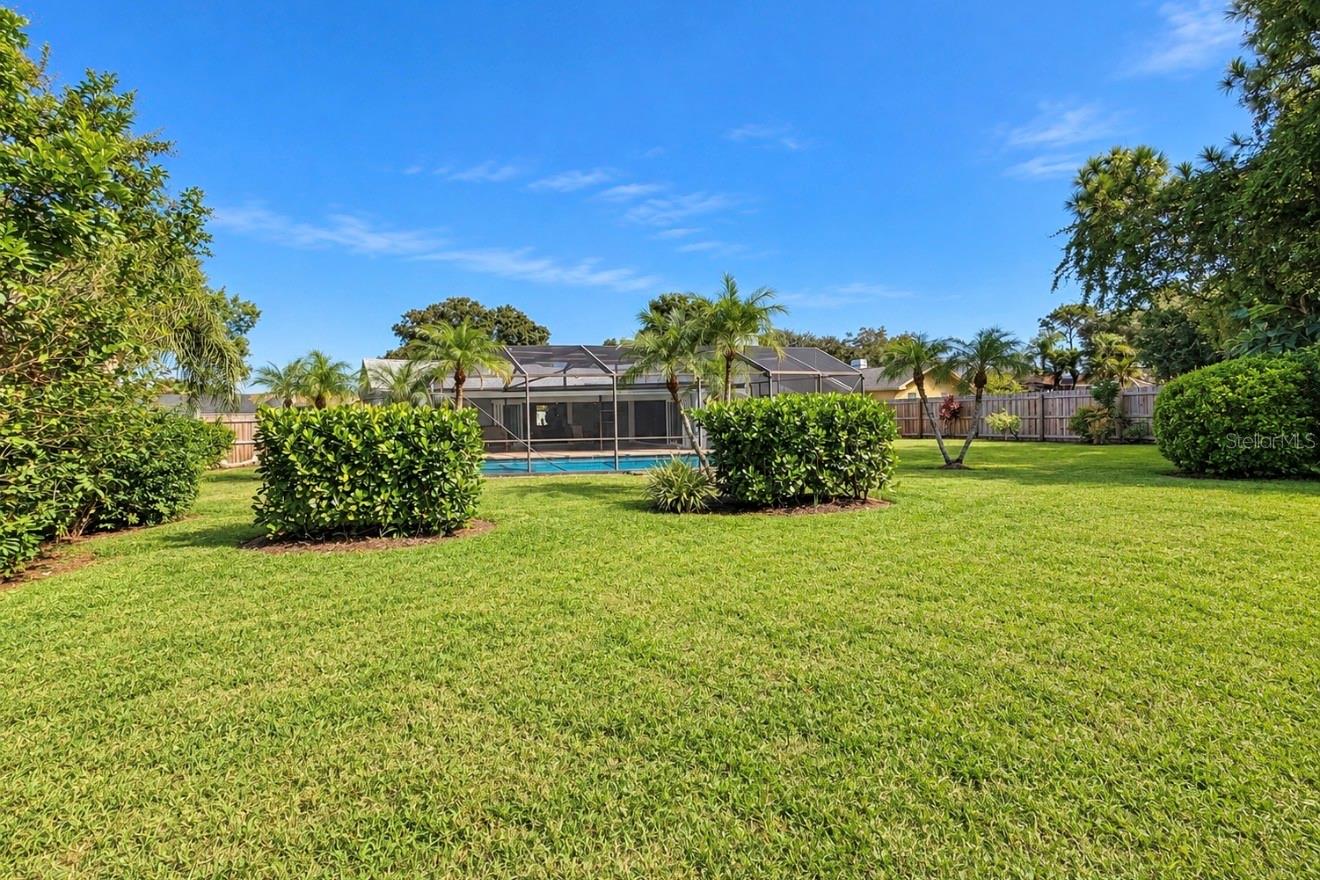 extremely large backyard