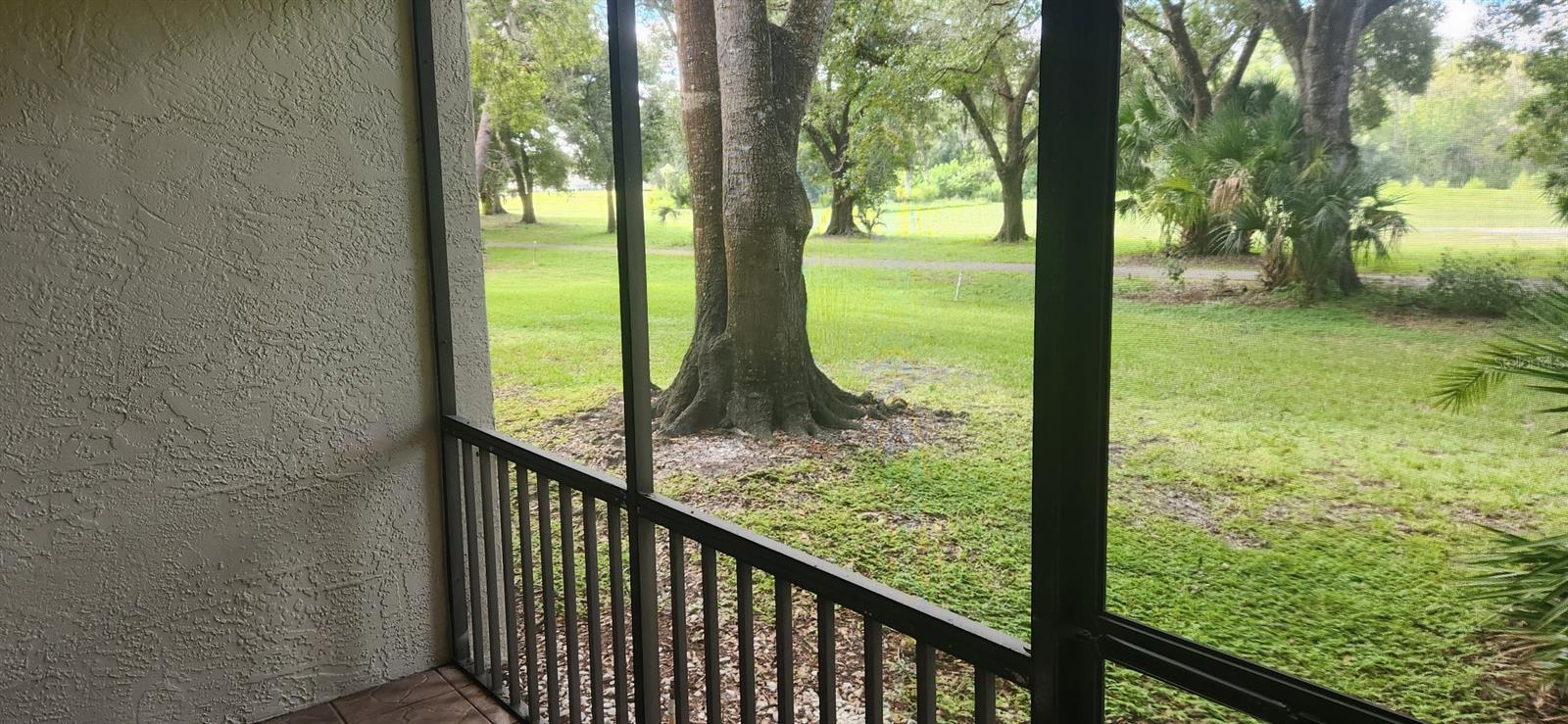 3505 TARPON WOODS BOULEVARD, #H405, Palm Harbor, FL 34685