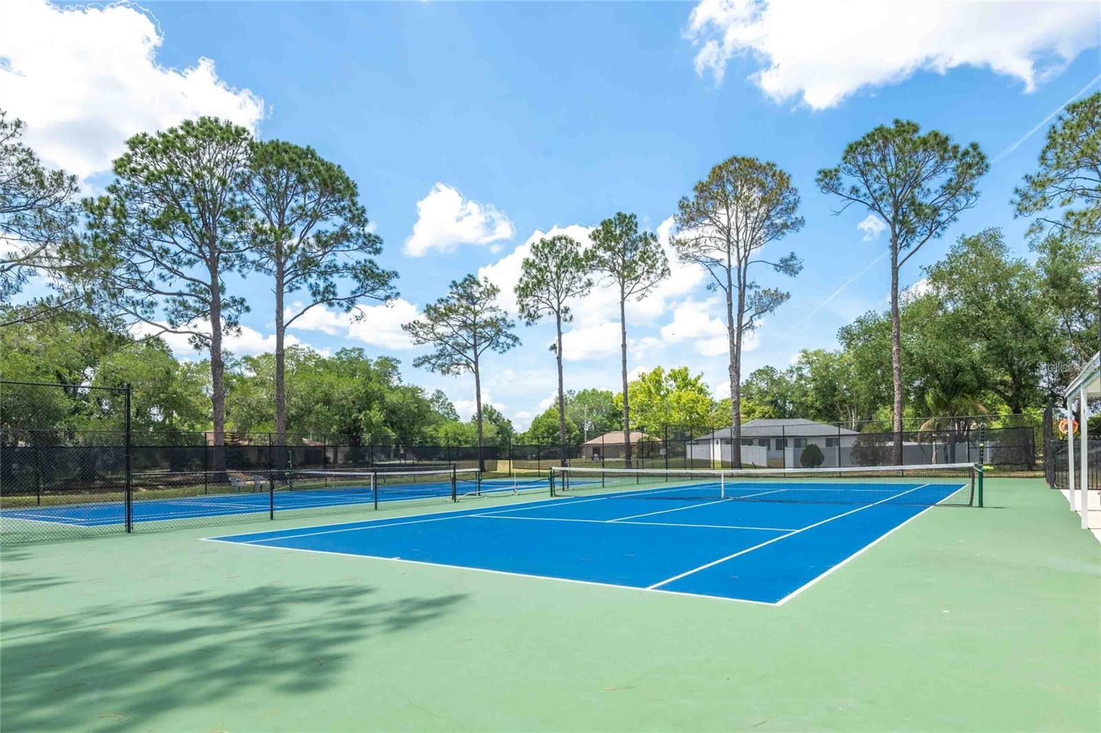 1836 TAMPA BAY DRIVE, Wesley Chapel, FL 33543
