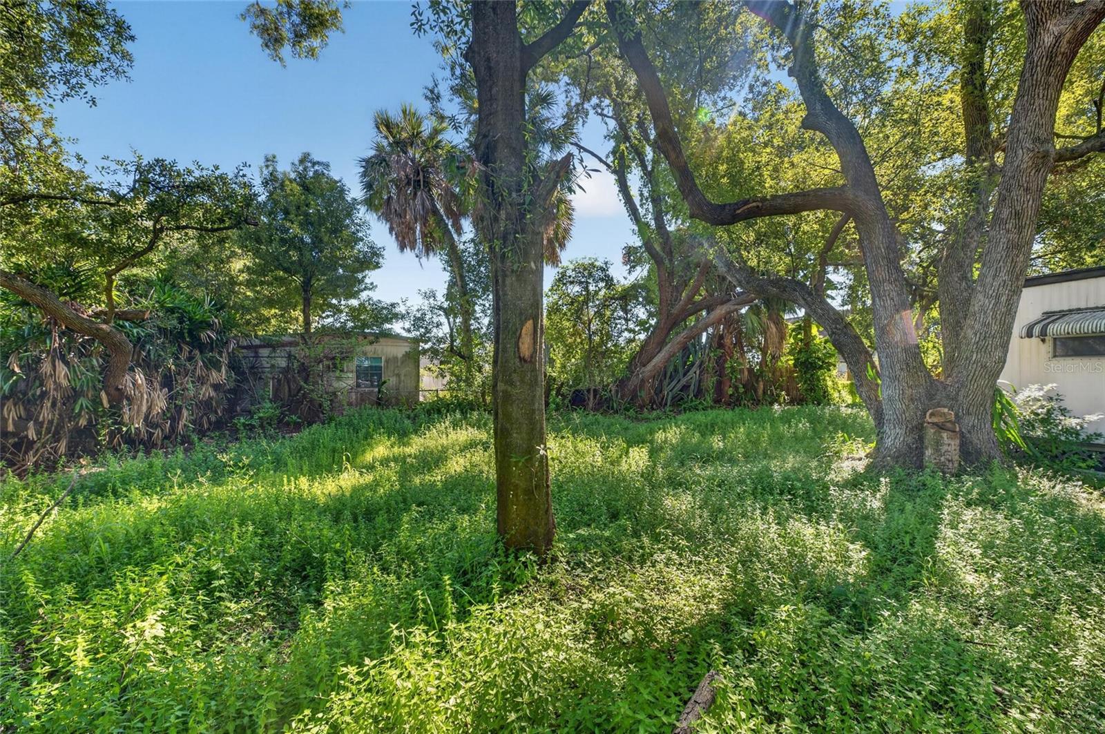 8810 S HICKORY LANE, Riverview, FL 33578 8810 S HICKORY LANE, Riverview, FL 33578
