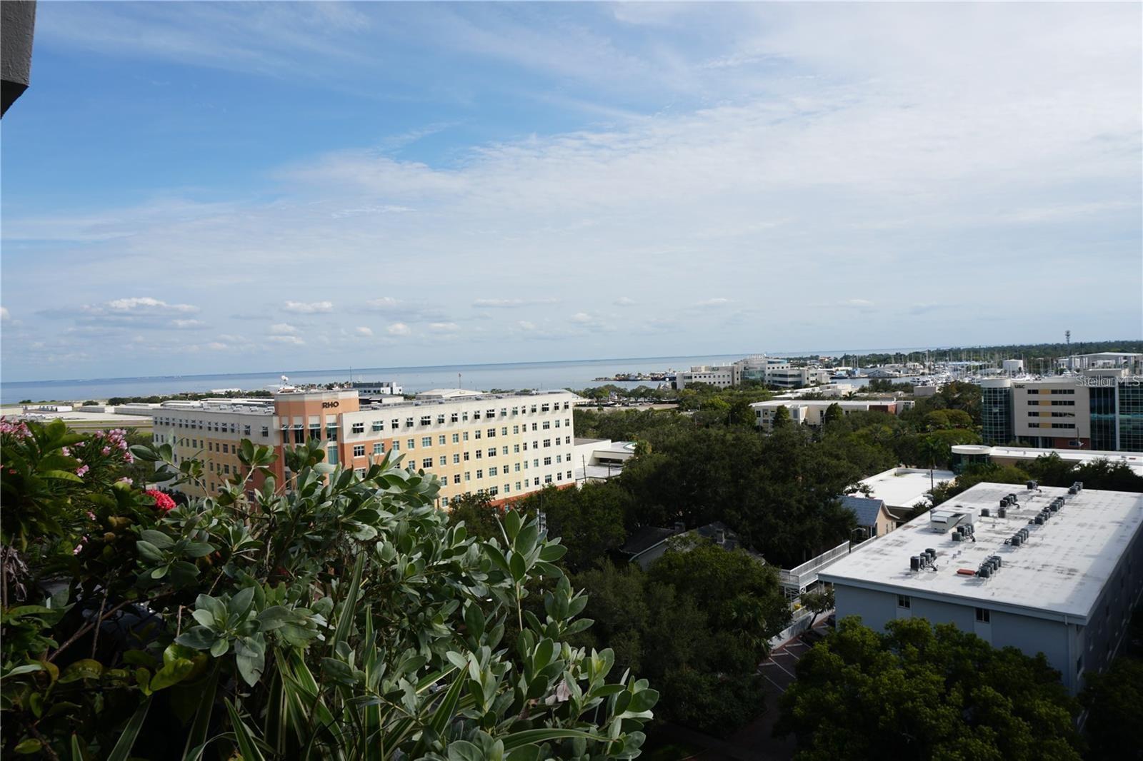 470 3RD STREET S, #209, St Petersburg, FL 33701