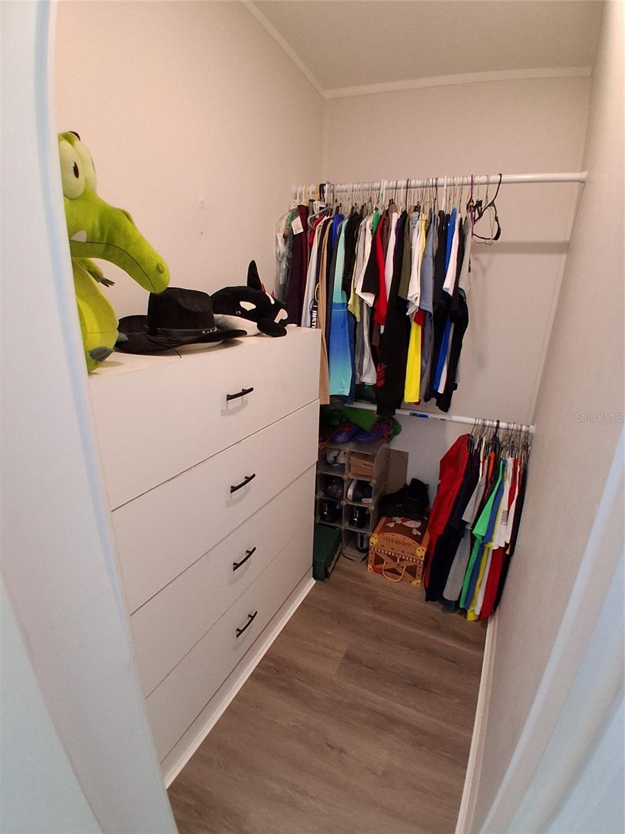 Guest closet is spacious enough to allow for a chest of drawers!