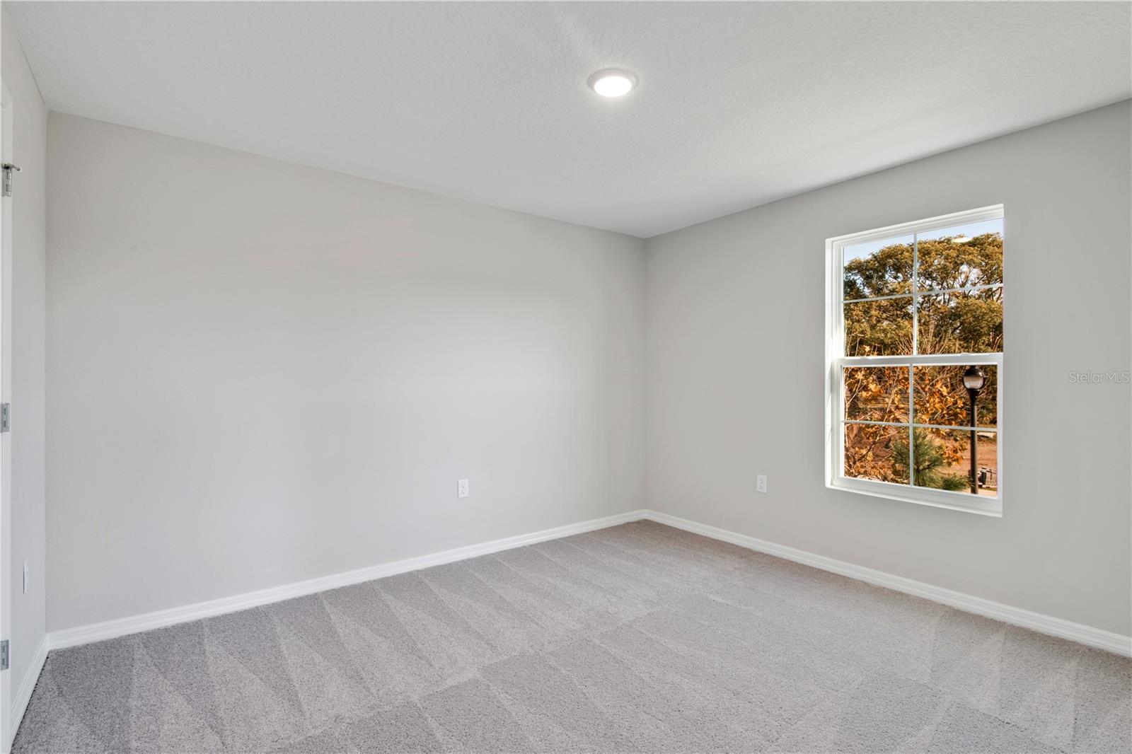 13300 WILDGRASS TRAIL, Odessa, FL 33556