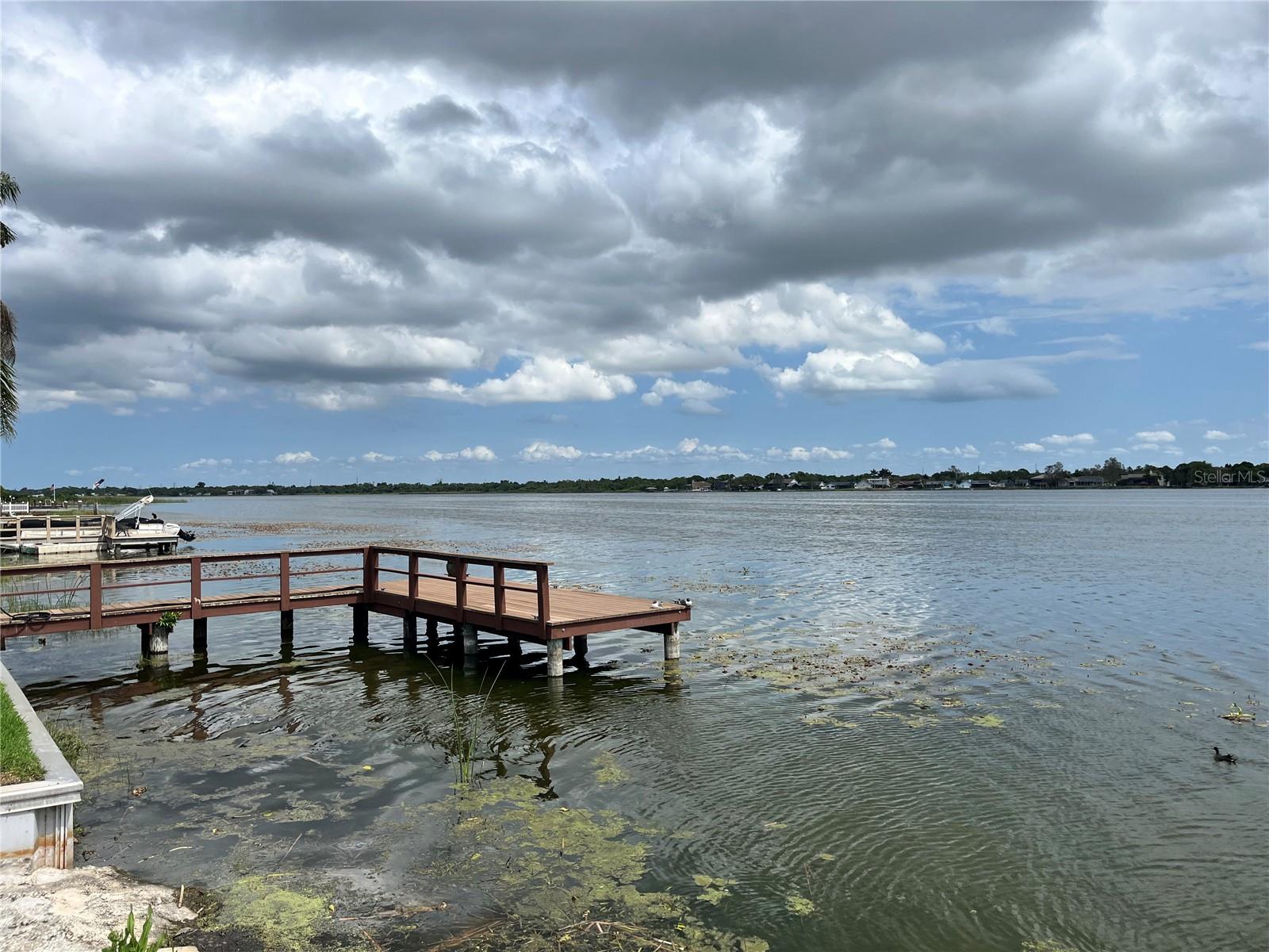 11128 102ND WAY, #225, Largo, FL 33773