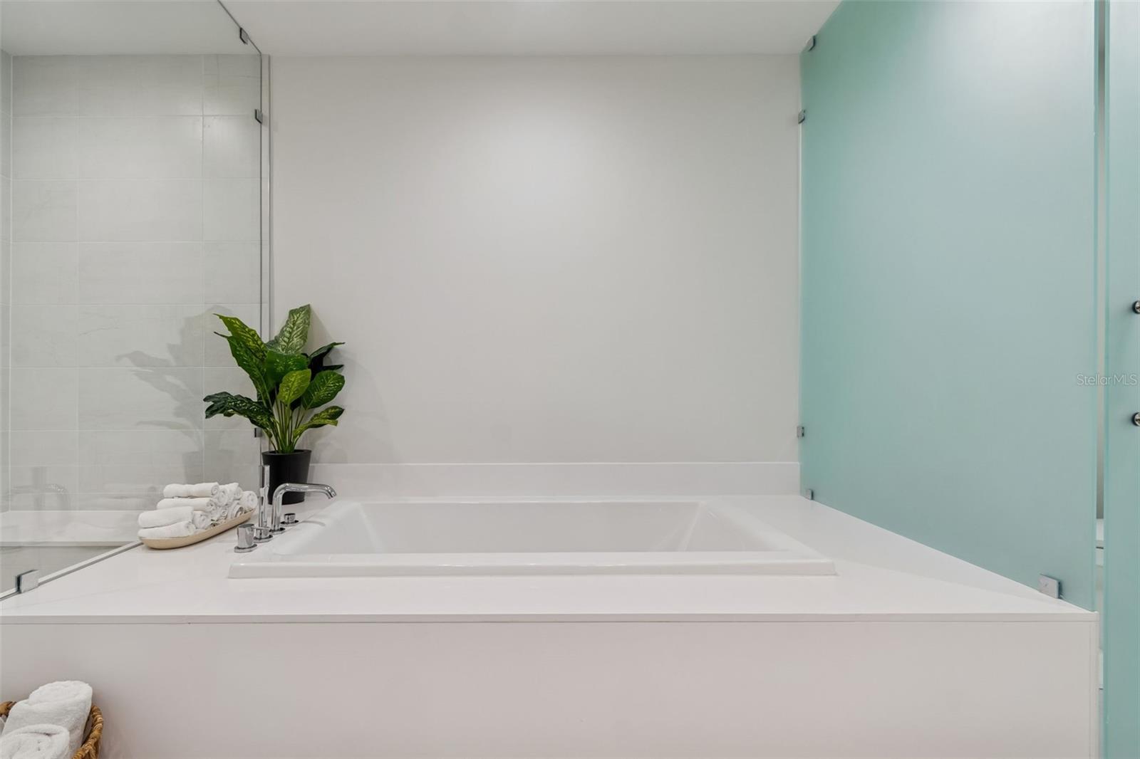 301 1ST STREET S, #1007, St Petersburg, FL 33701