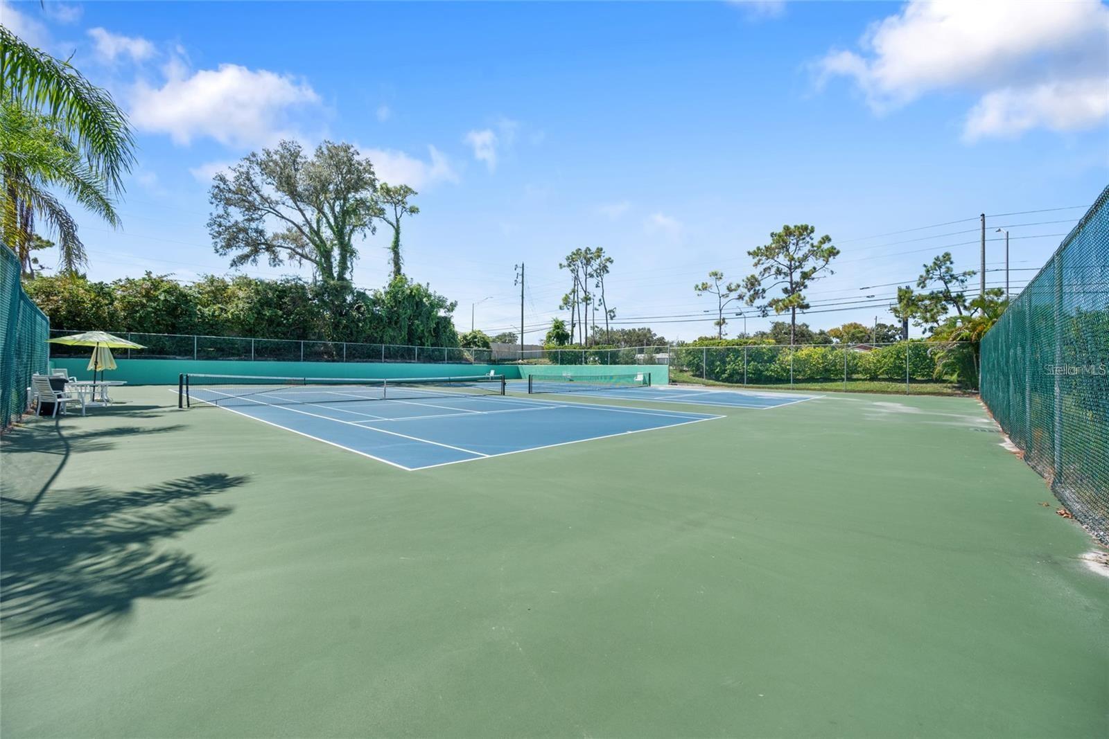 2577 DOLLY BAY DRIVE, #205, Palm Harbor, FL 34684